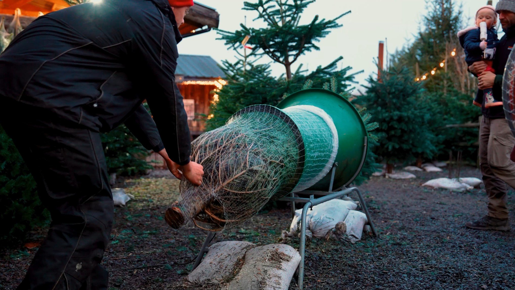 Buy your Christmas tree here north hills farm