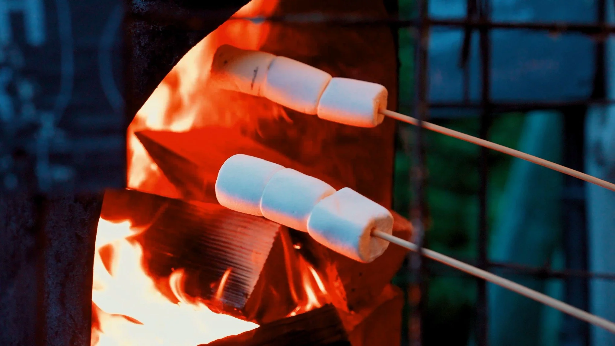 Campfire toasting ,marshmallows North wales