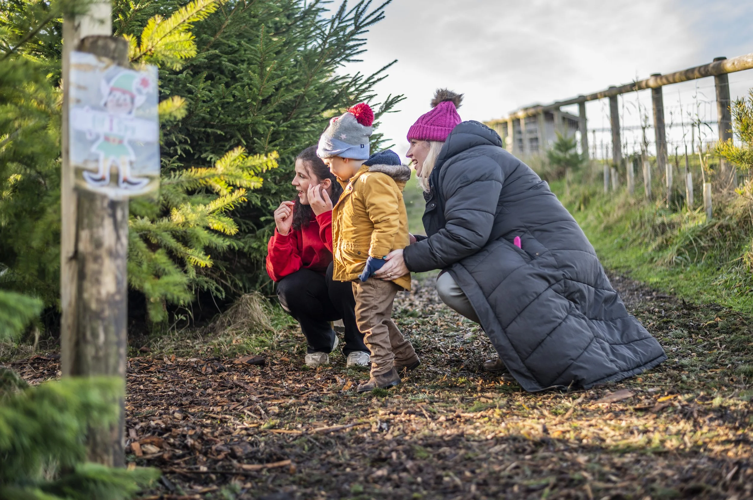 Woodland Walk002.JPG