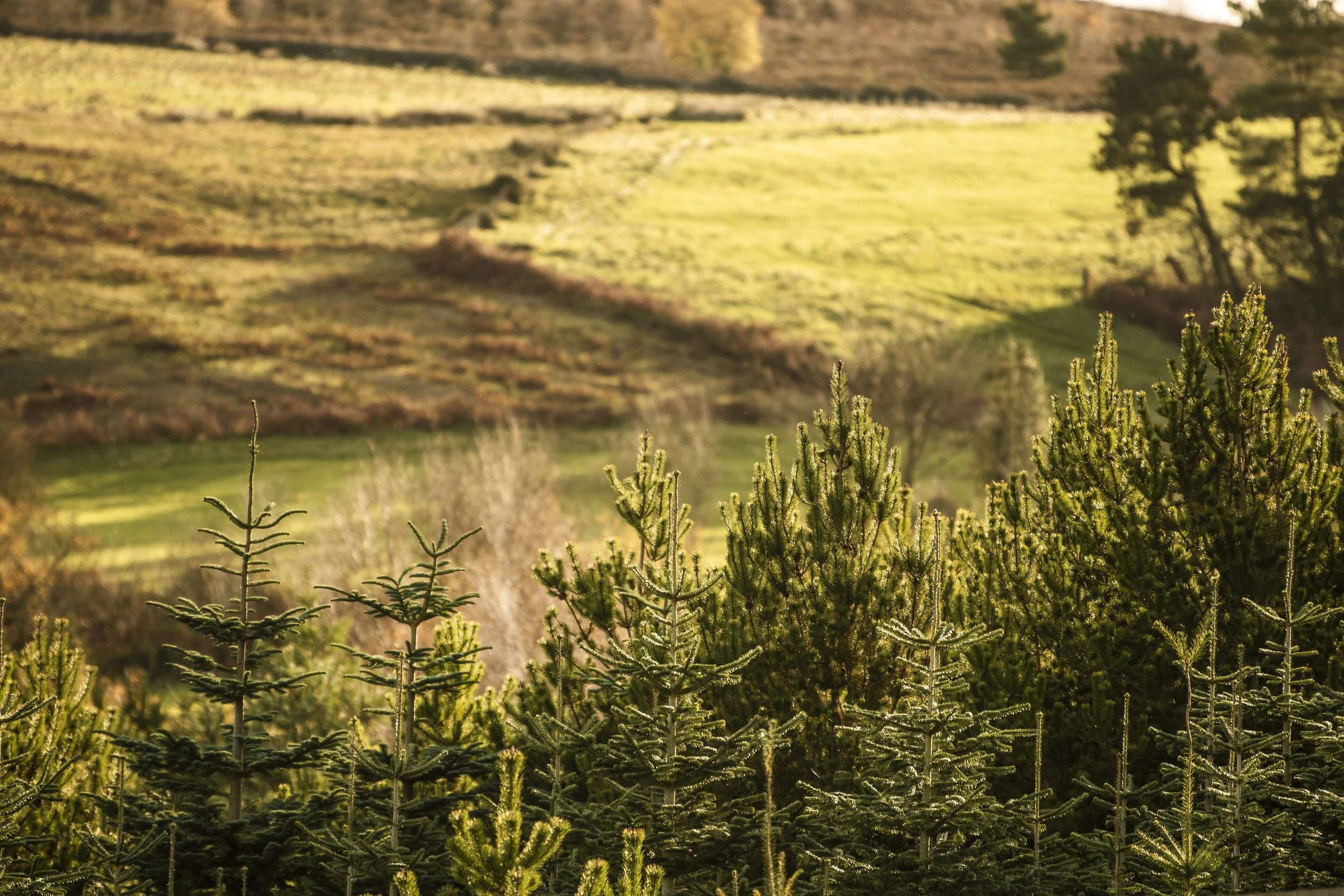 Views & Staff029.JPG