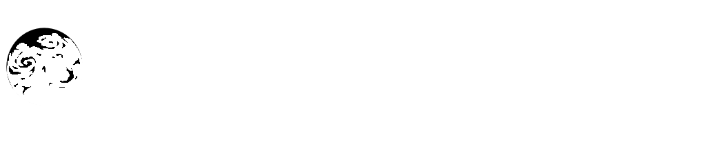 Discovery_Networks_logo copy.svg.png