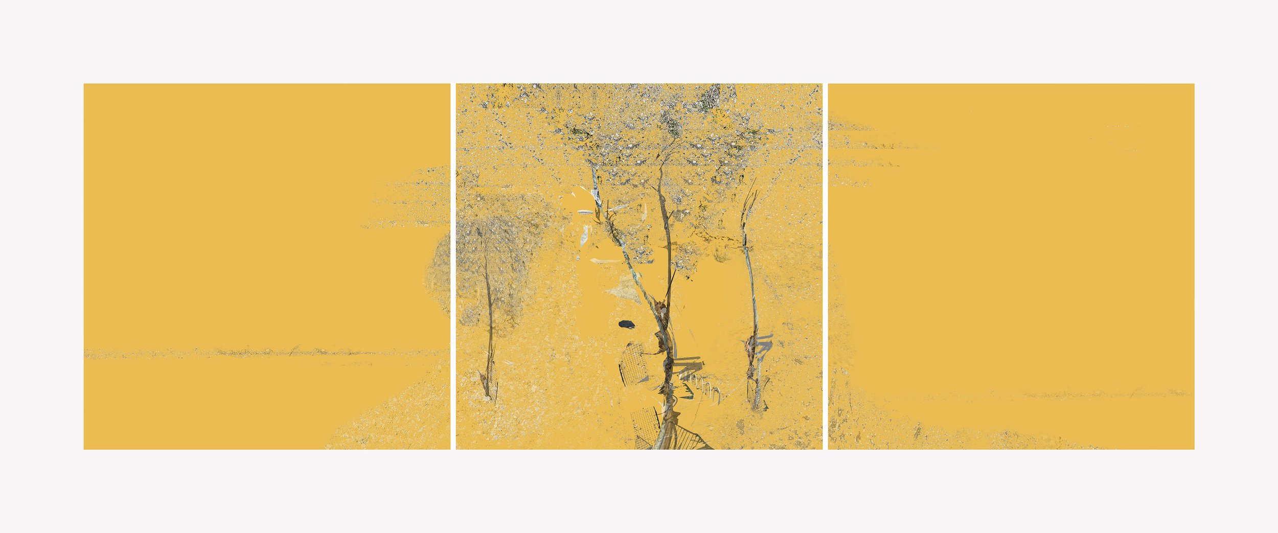 orchard. 50X16.5 (58X24.5) 2025