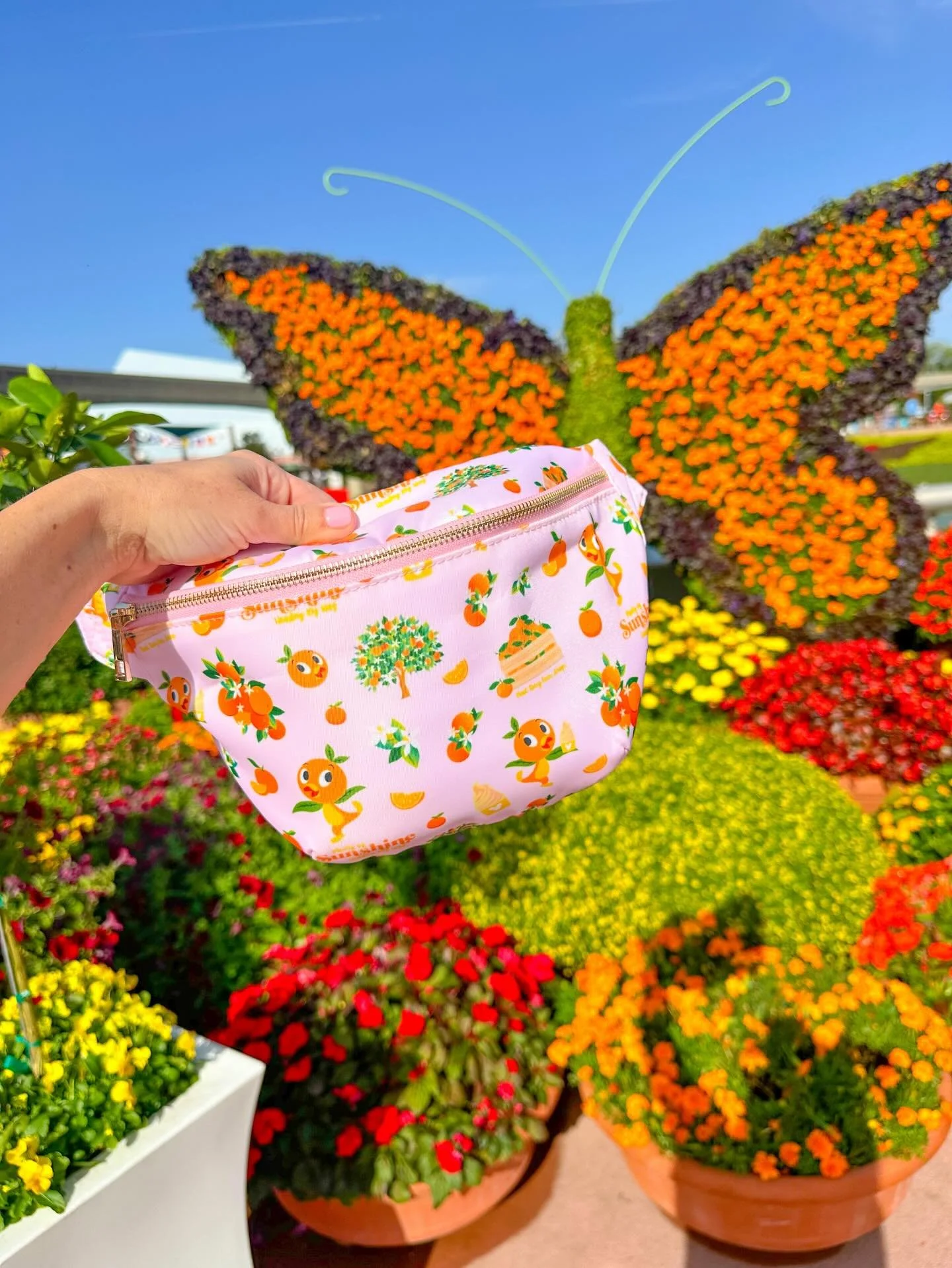 Dreaming sunny and warm thoughts over here! Who is ready for all things Spring and Epcot Flower and Garden Festival?! 🌸🍊🌼 How cute is orange bird?!