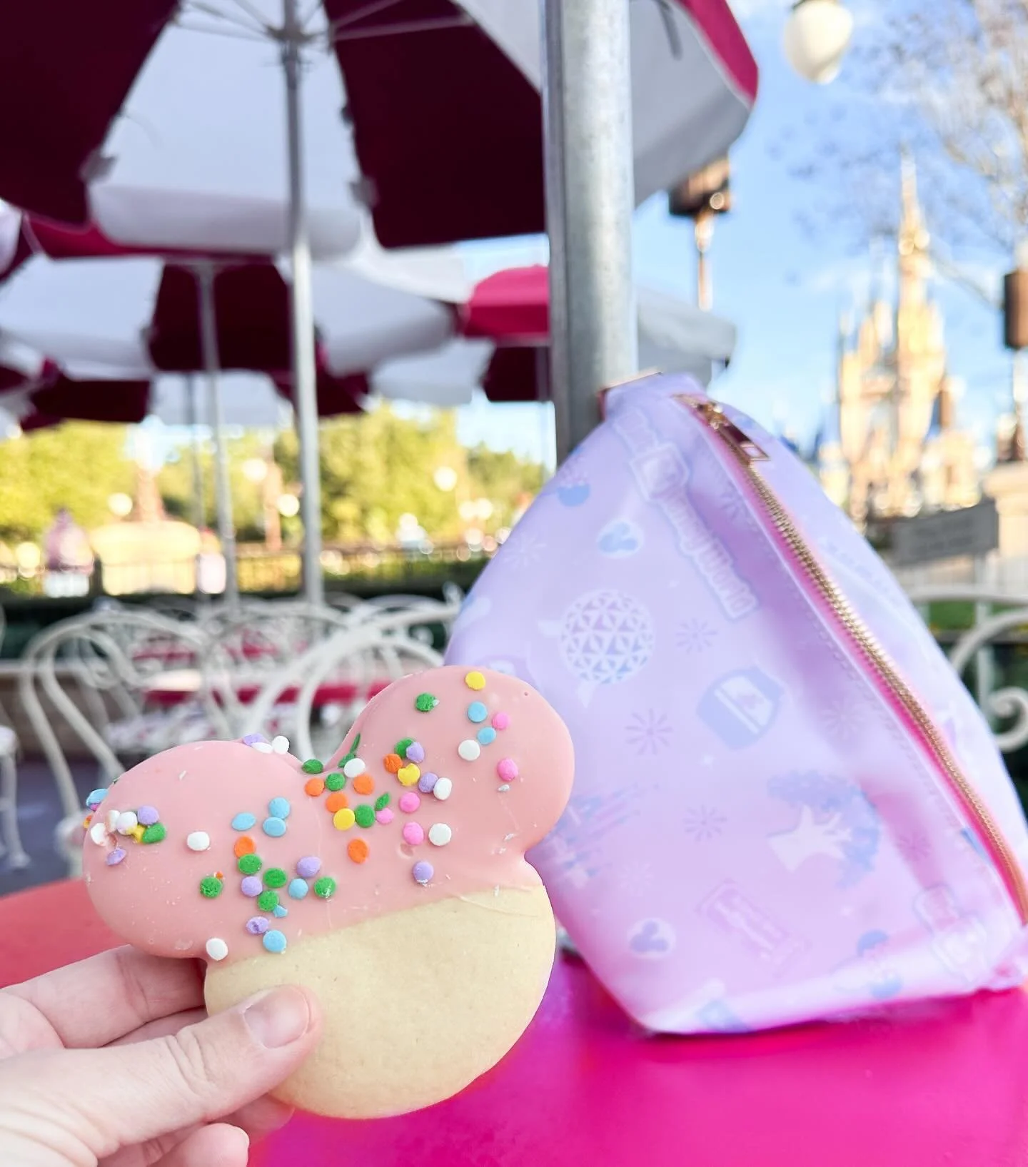 Wishing this was my view today! I feel like these cookies are the most underrated Magic Kingdom snack. Shop this new WDW inspired print in a fanny pack or coordinating crew or tee, available now.