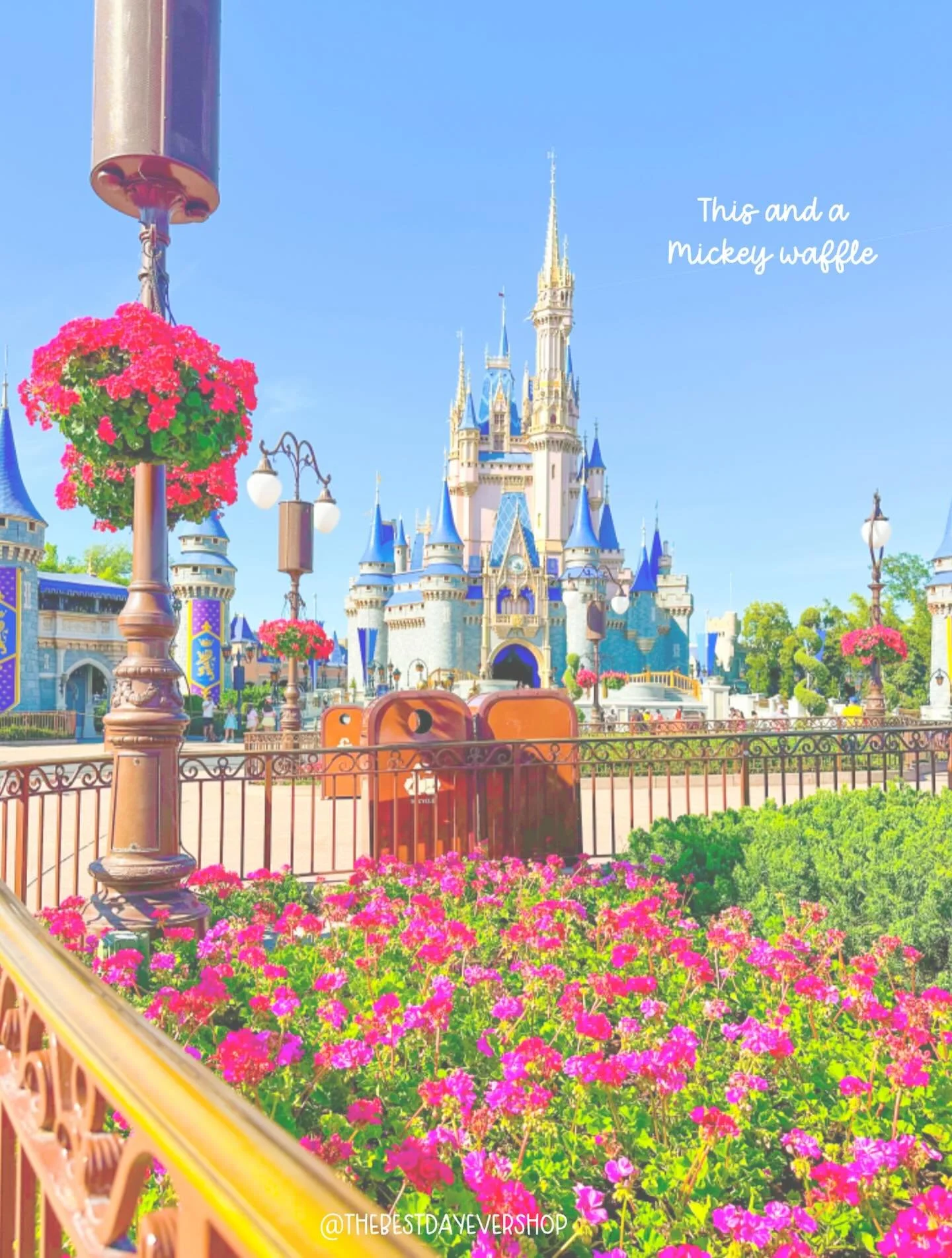 This and a Mickey waffle! Yes please! 😍😍😍 Magic Kingdom is just beautiful in the Spring! Which park is your favorite this time of year? ✨