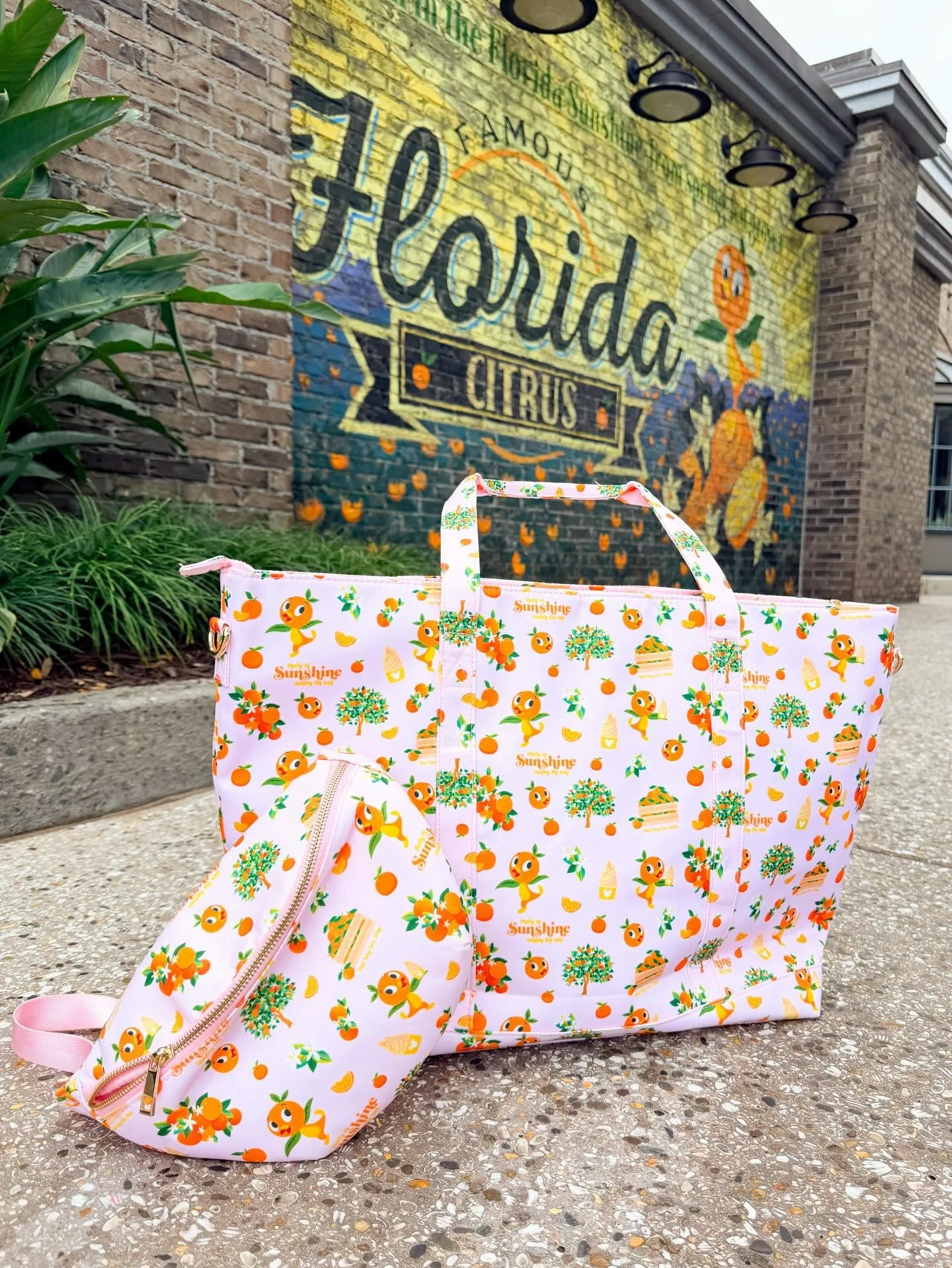 🍊🍊Just restocked! This orange bird print has always been a favorite! I just got in a new shipment of fanny packs and I also have tote available in this print. Shop now, they&rsquo;re ready to ship! 🍊🍊