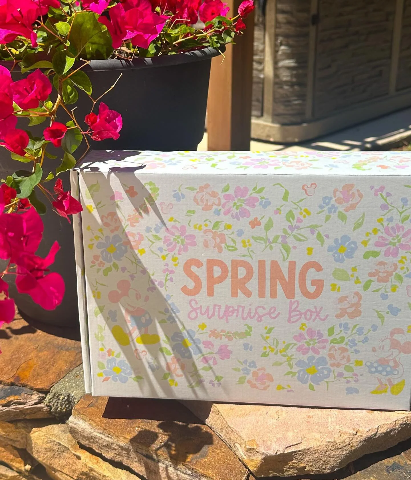 Remember the advent calendar boxes that you all went crazy for around Christmas?! Well let me introduce you to the Spring surprise boxes which are very similar. You&rsquo;ll get this box filled with 6 surprise goodies. Plus, I loved this print so muc