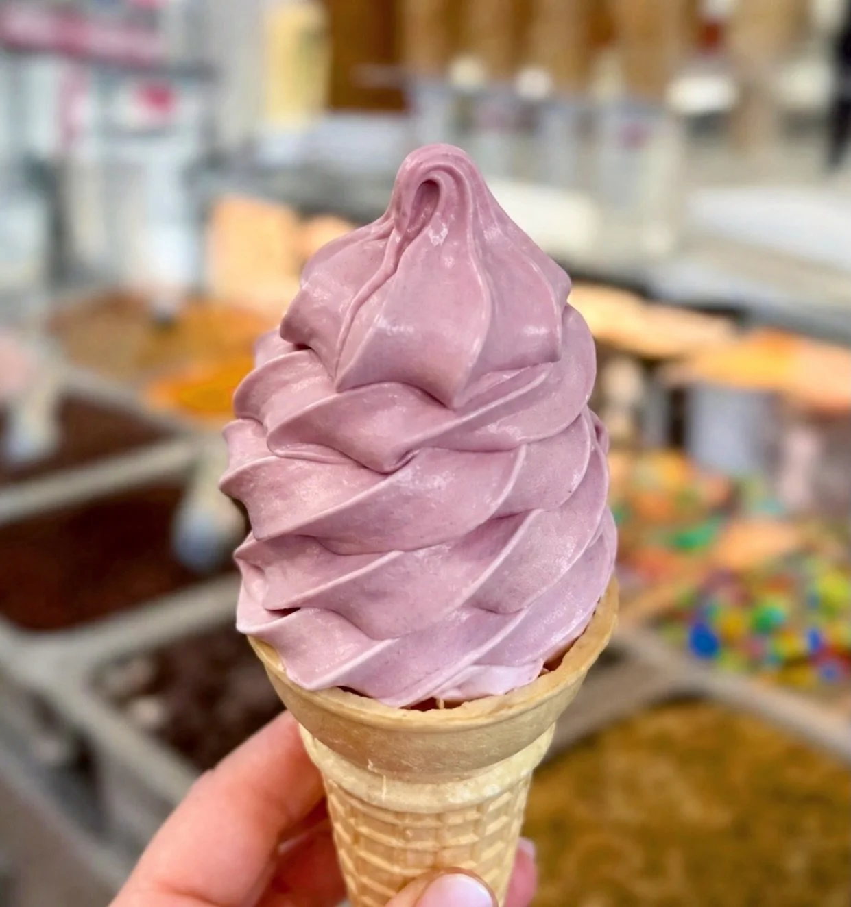 🩷 Black Raspberry 💜