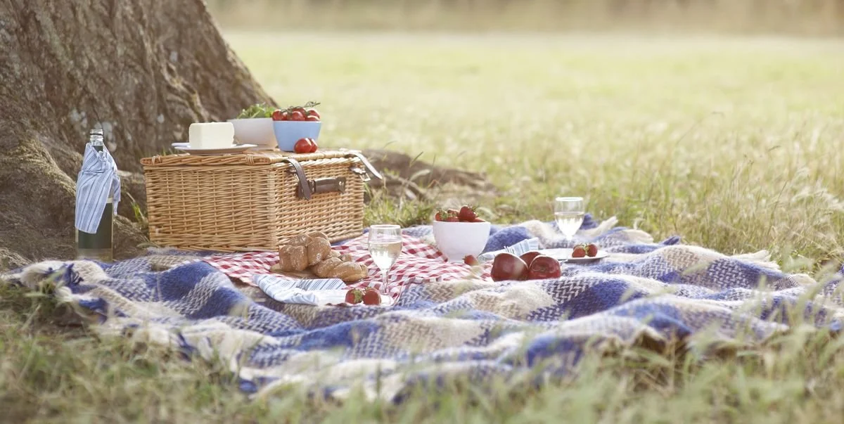 Fenny Stratford End of Summer Picnic 