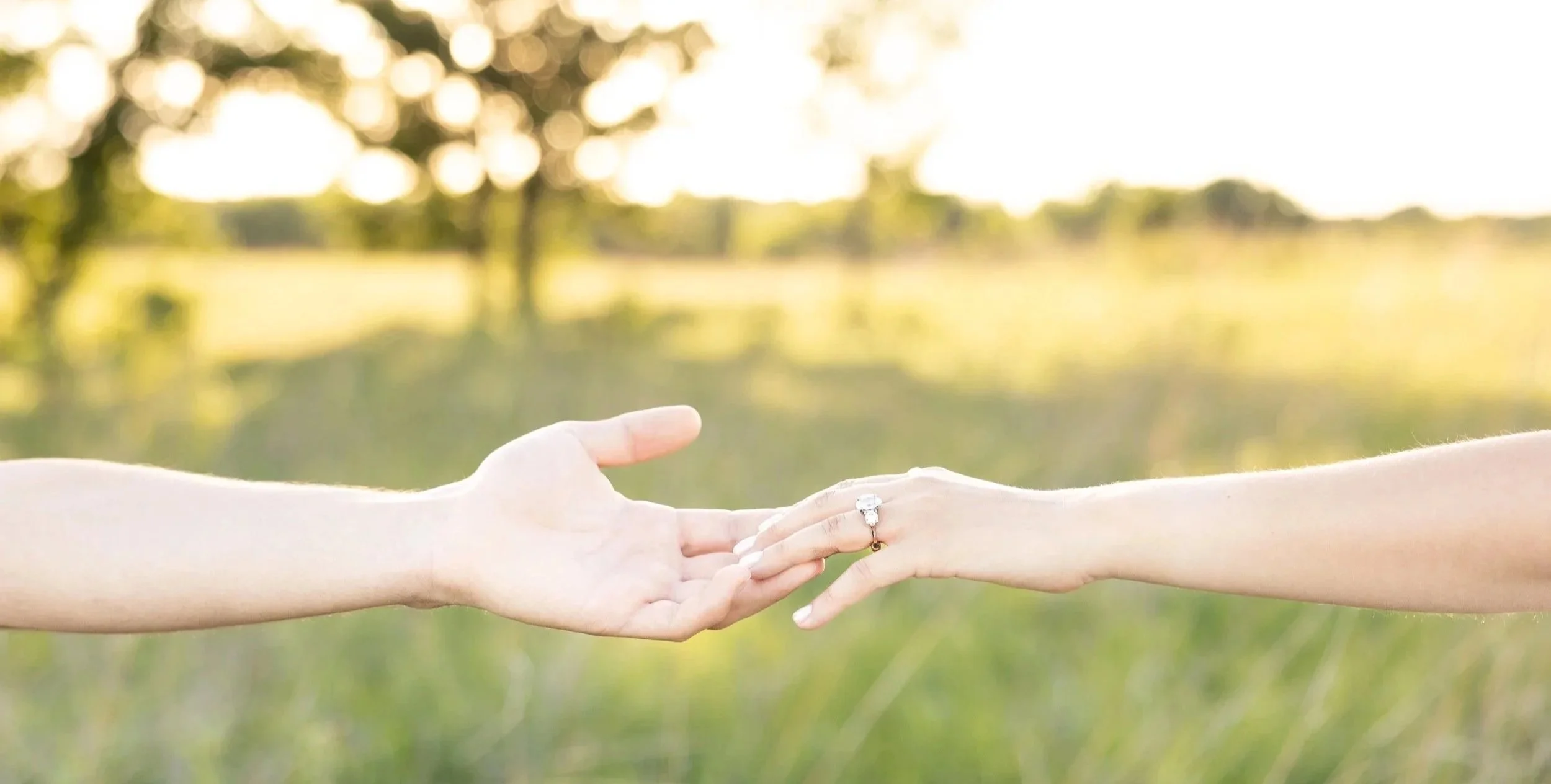 Close-up of two hands reaching out to each other outdoors with trees and sunlight in the background.