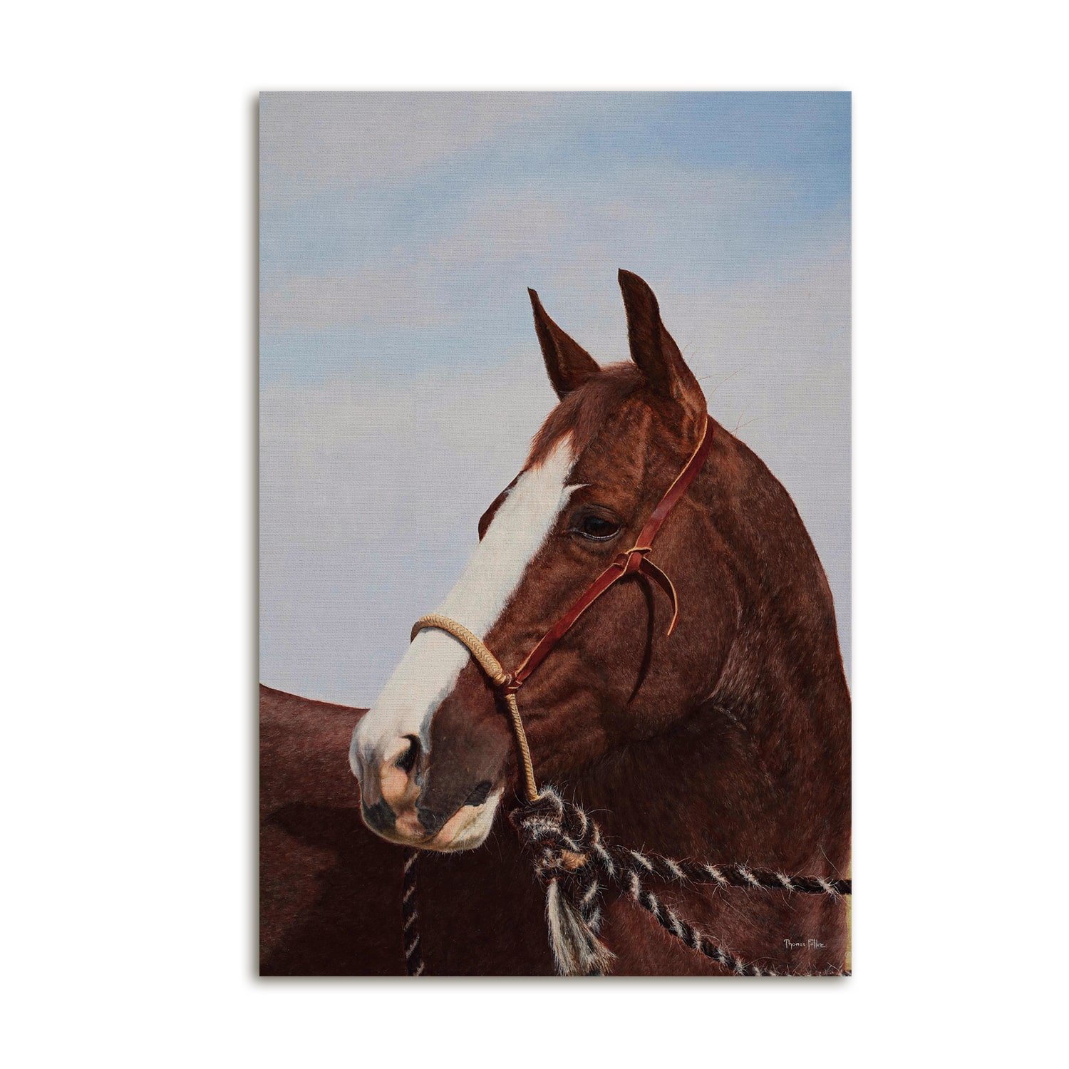 coc-canvas-product-photo-min.jpg