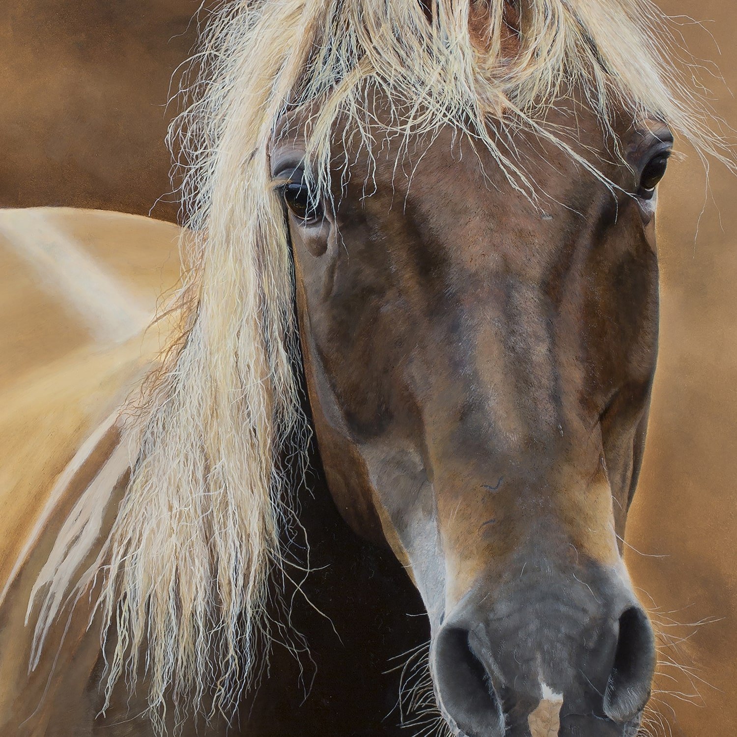 Unbridled-closeup-min.jpg