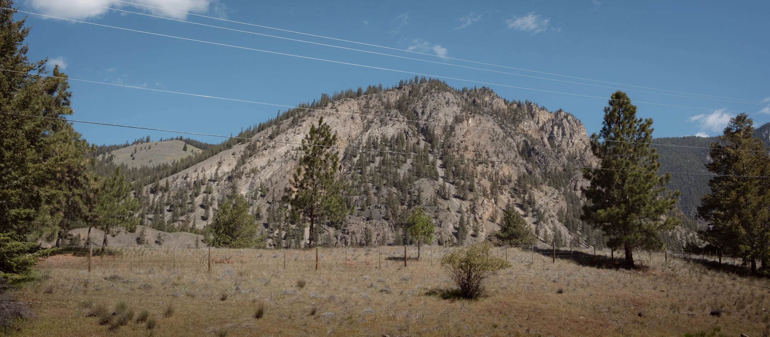 Pine trees sprinkled onto this barren landscape