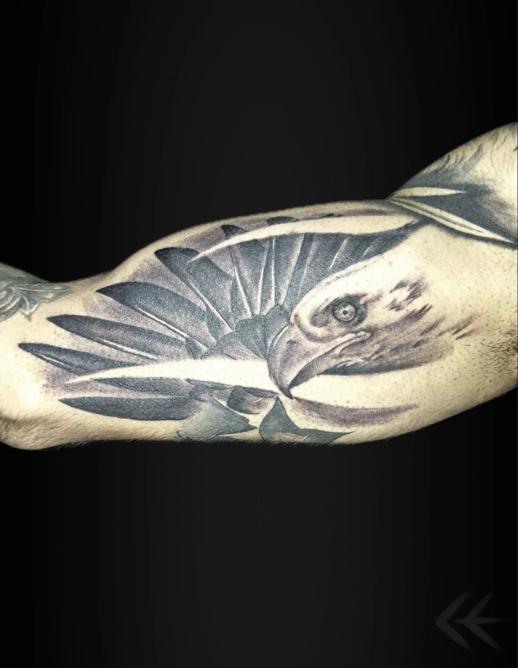 realistic eagle arm tattoo.jpg