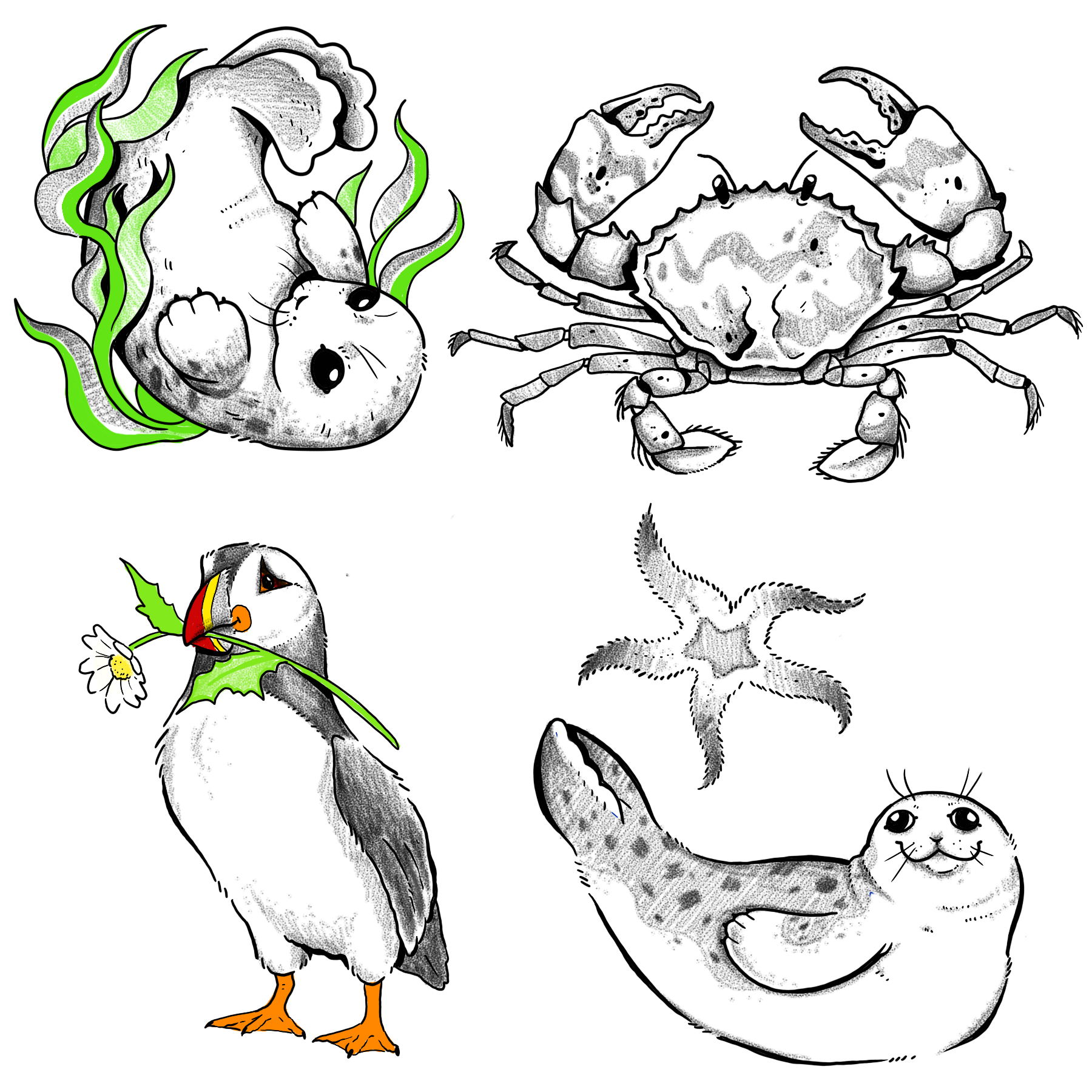 IMG_8123.png