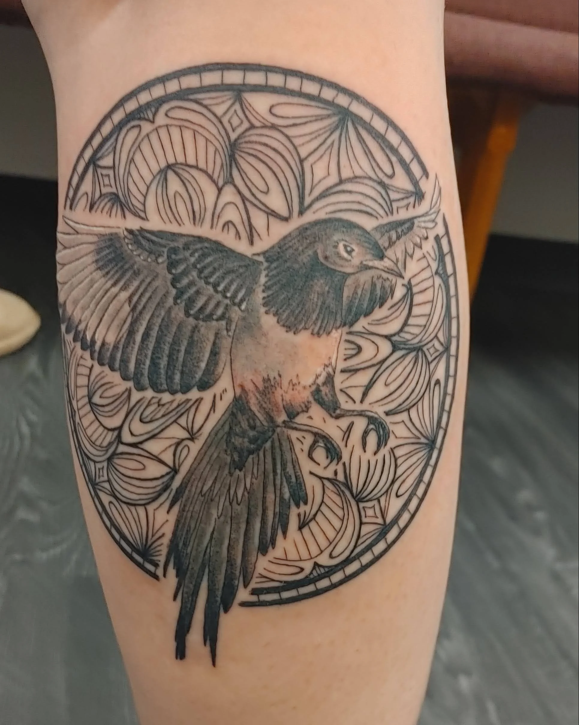 Black and grey line art tattoo of a detailed bird in flight on a person's skin, with intricate patterns in the background.