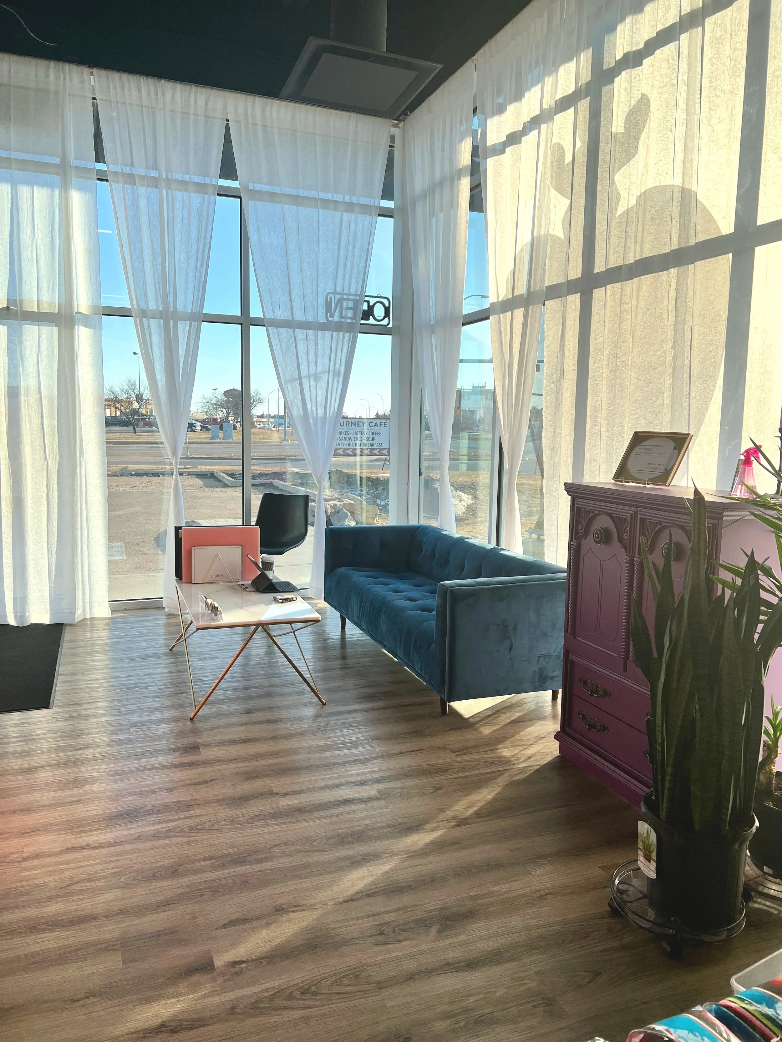 Interior of a cozy cafe with large windows, a velvet blue sofa, a small coffee table with pink folders, a black chair, a purple cabinet, and a large potted plant, all illuminated by natural sunlight.