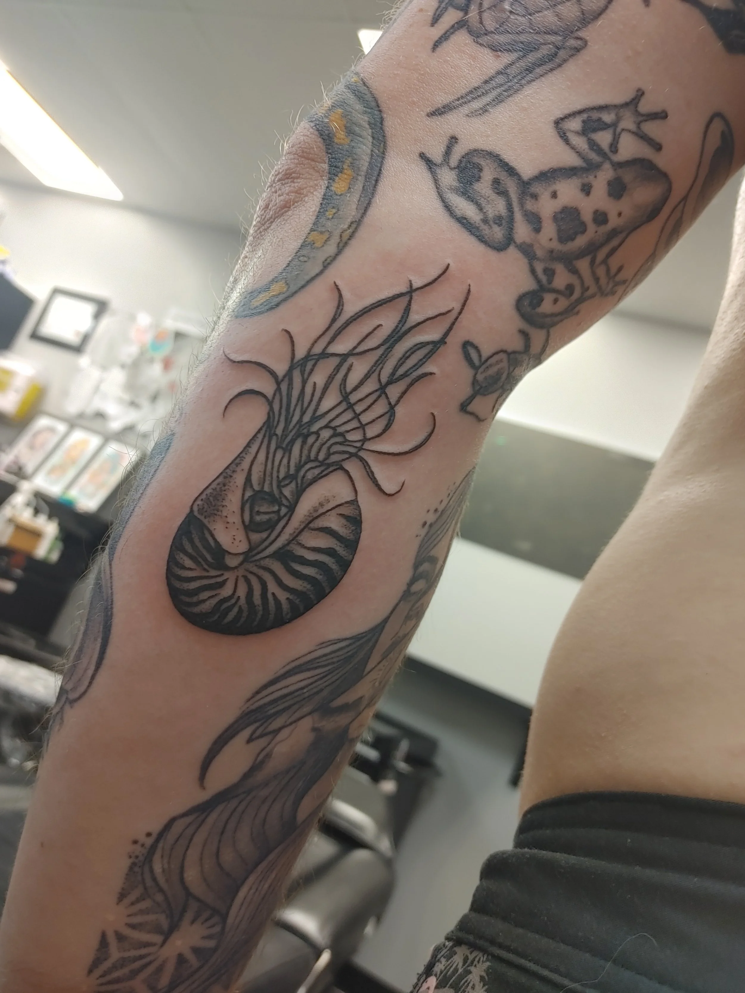 A person's arm with tattooed designs, including a snake, a giraffe, and abstract linework. The background appears to be an indoor space, possibly a tattoo studio.