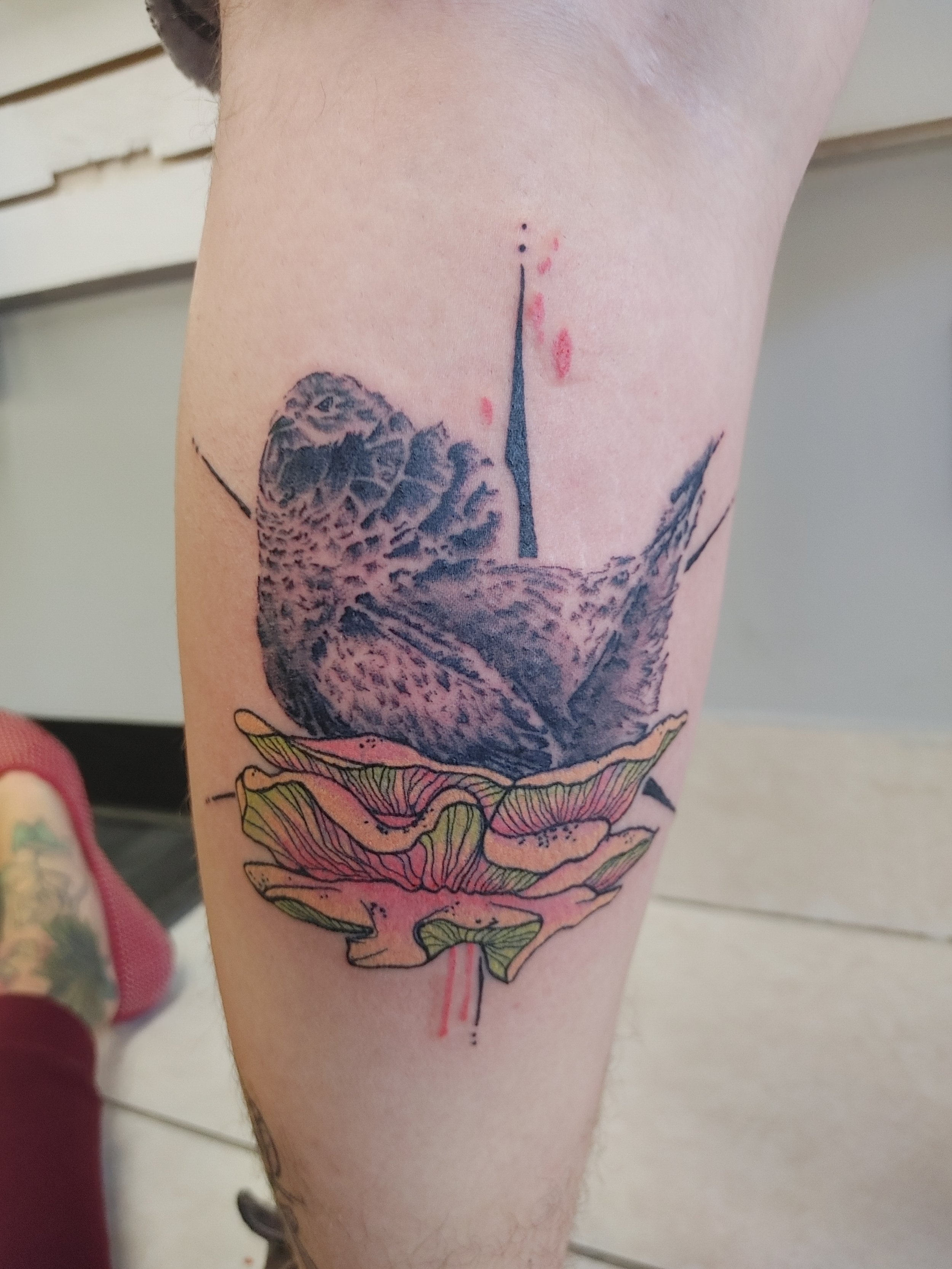 A tattoo on a person's arm depicting a snail with detailed shell and body, with a colorful floral element underneath.