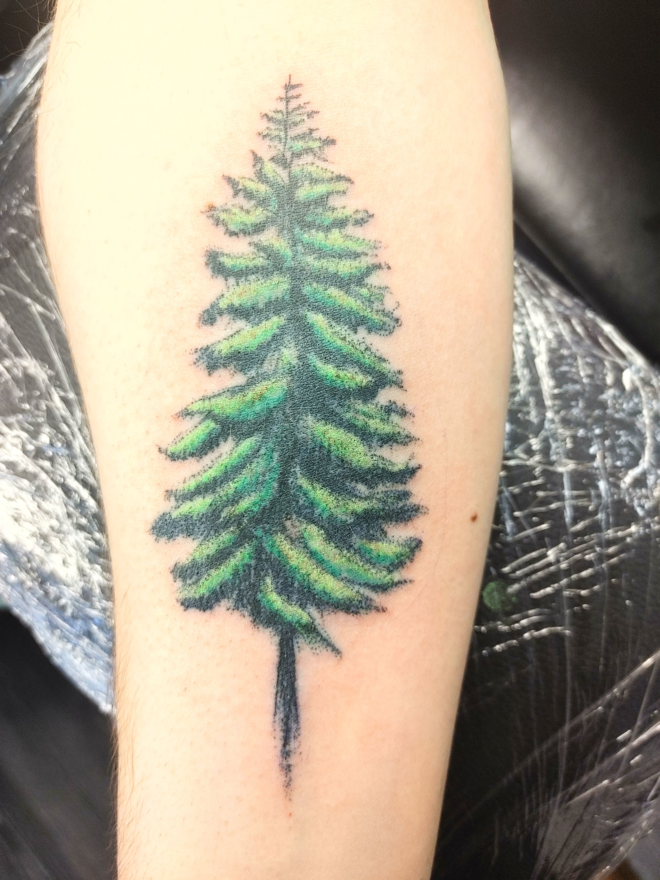 A tattoo of a green and black pine tree on a person's upper arm.