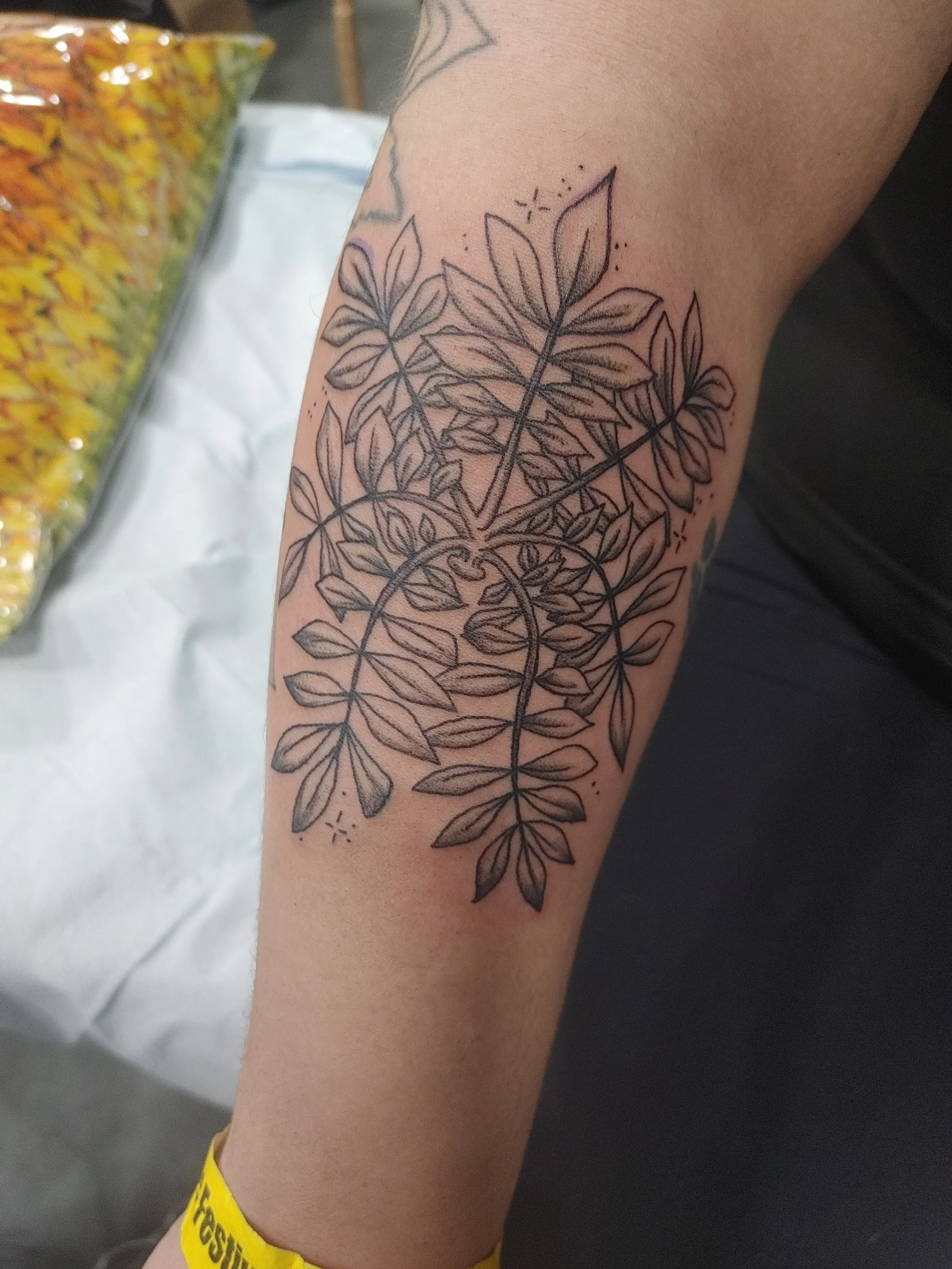 Black outline tattoo of leaves and small decorative dots on a person's forearm.