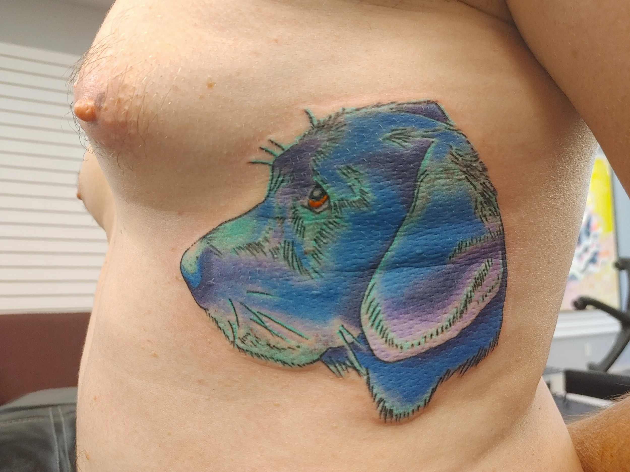 Close-up of a person's side torso with a colorful, detailed tattoo of a dinosaur.