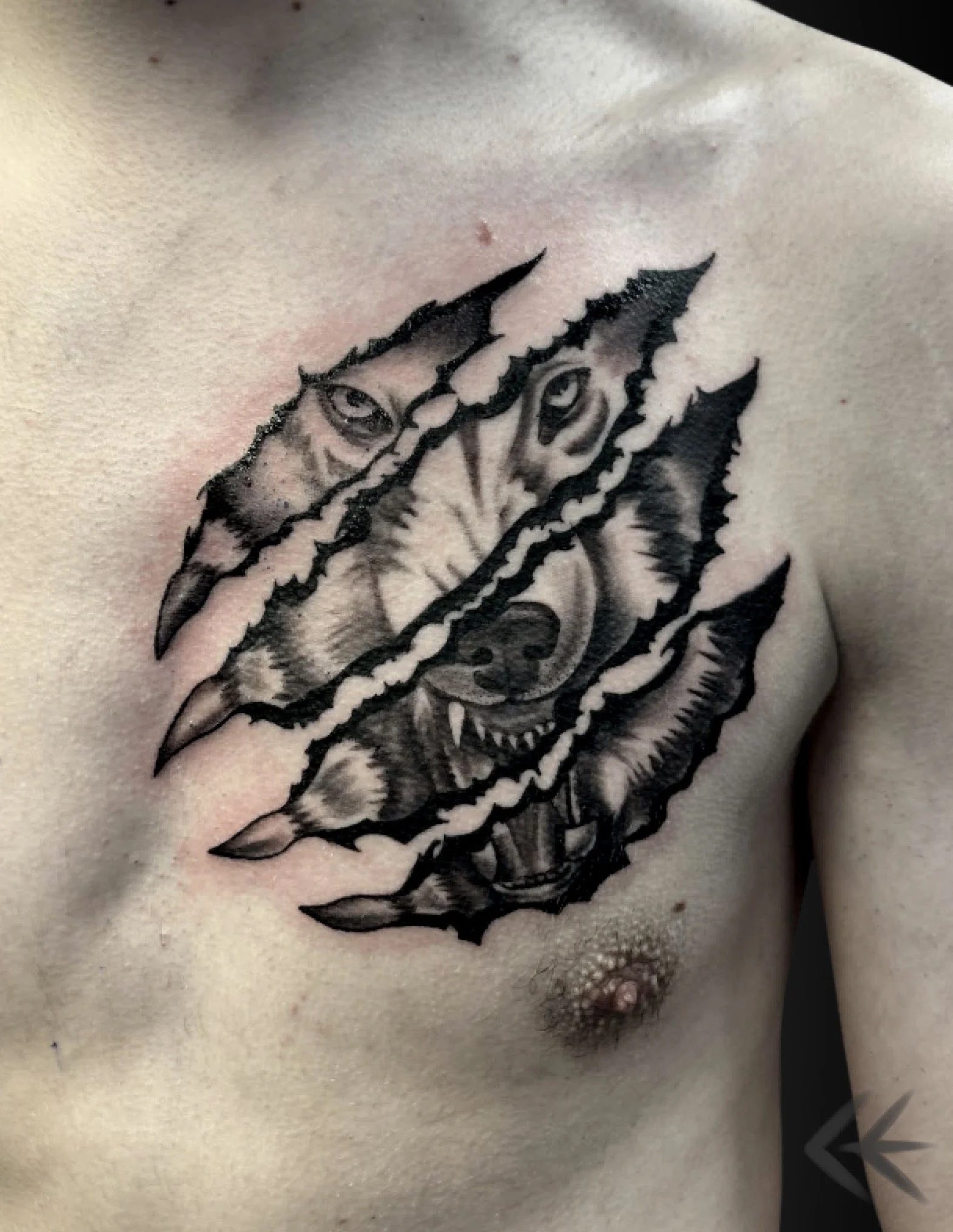 wolf tearing skin chest tattoo edmonton.jpeg