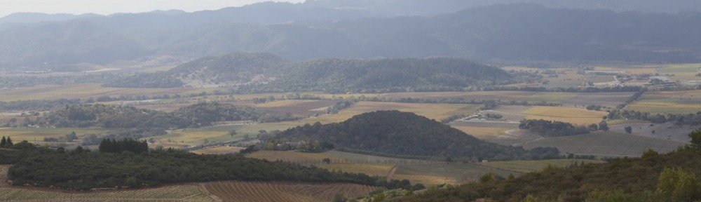 cropped-View-of-Napa-Valley-from-Ovid.jpg