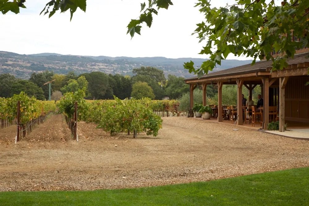 Vineyards and tasting area
