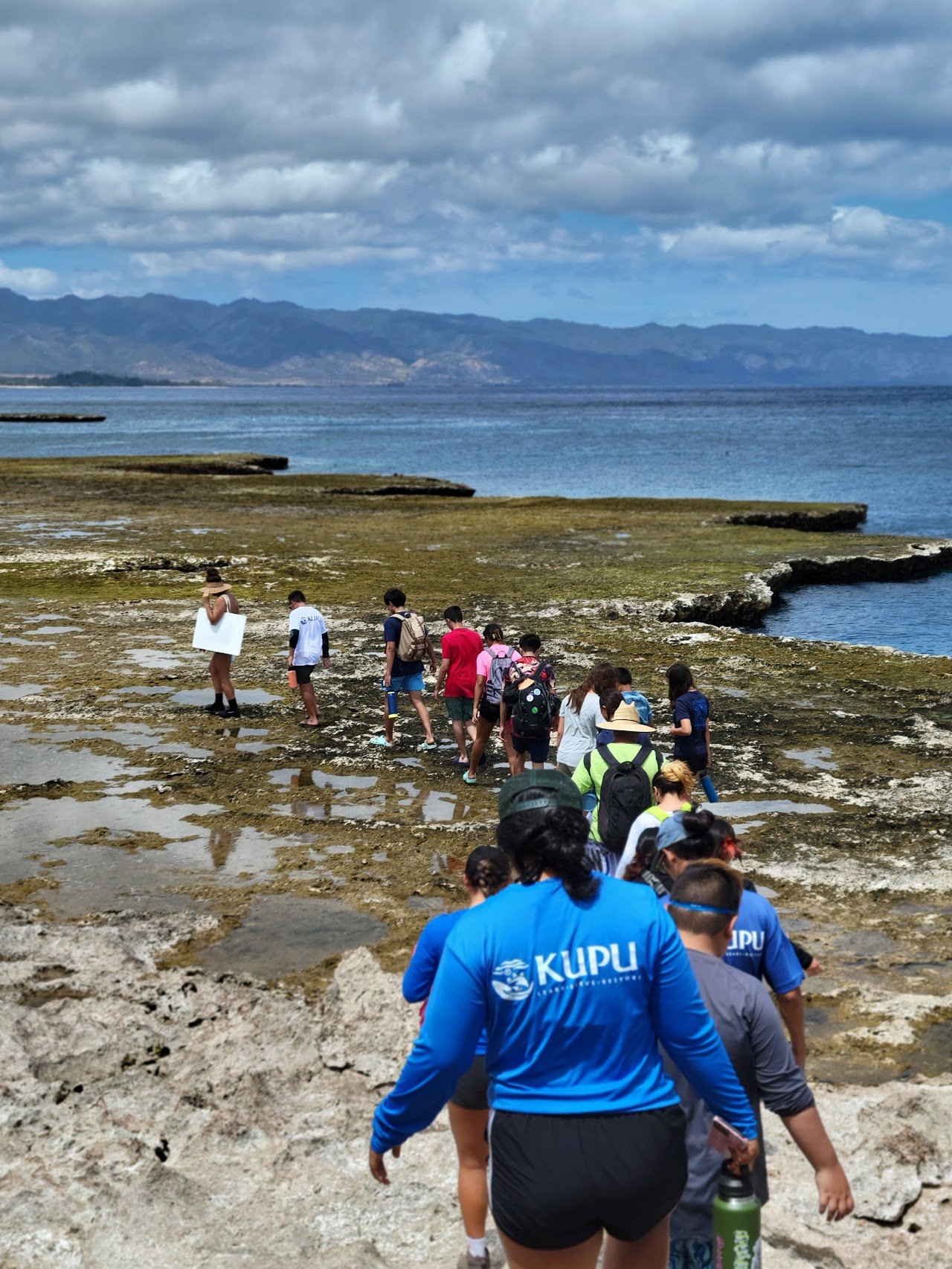 Kupu participants walking along the coastline, engaged in the removal of invasive species.