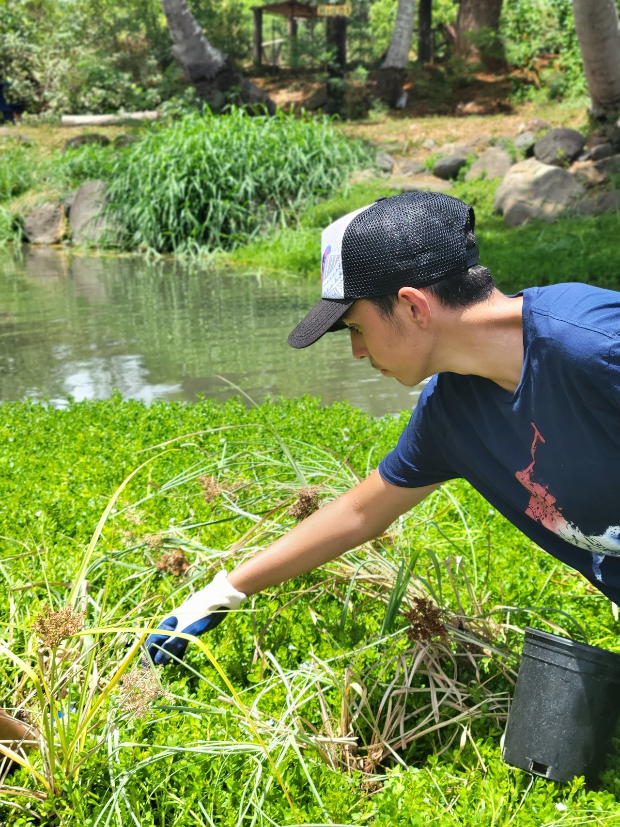 Student participant weeding and planting near a stream.