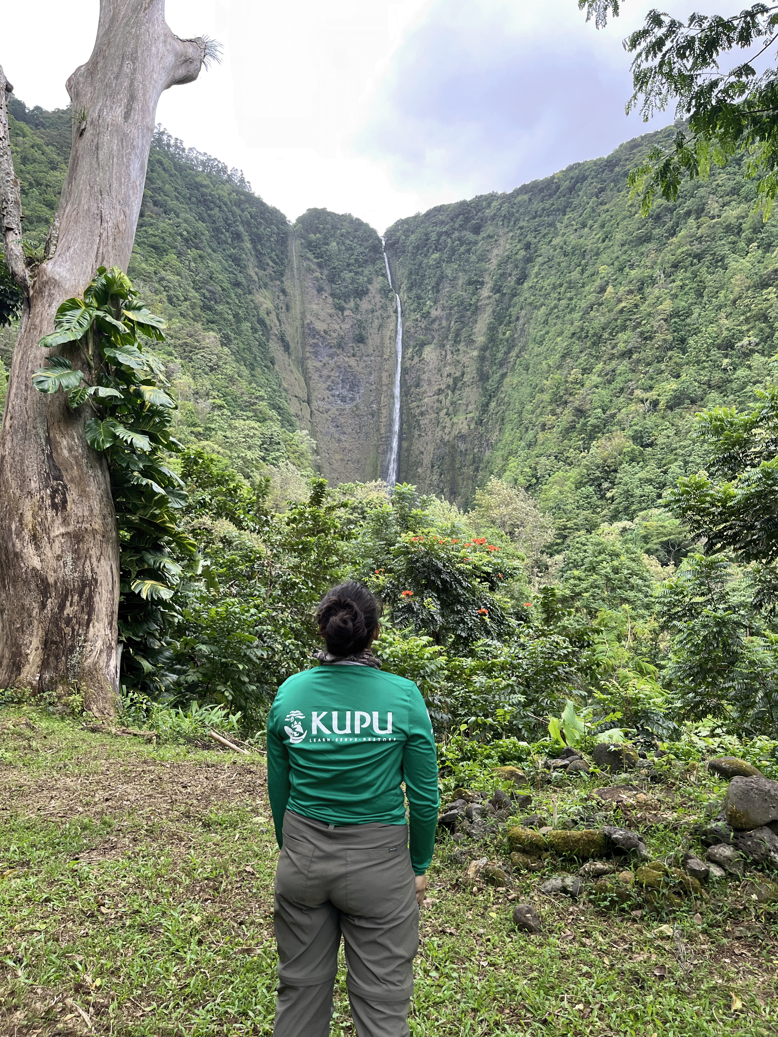 Waipiʻo Valley, Hawaiʻi Island