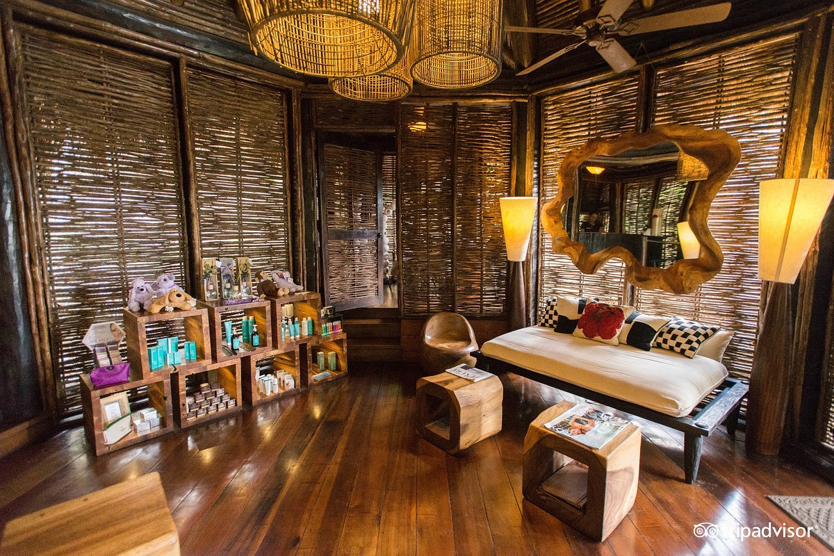 rainforest-spa--v11661231.jpg
