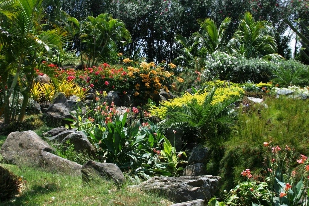 BOTANICAL GARDEN