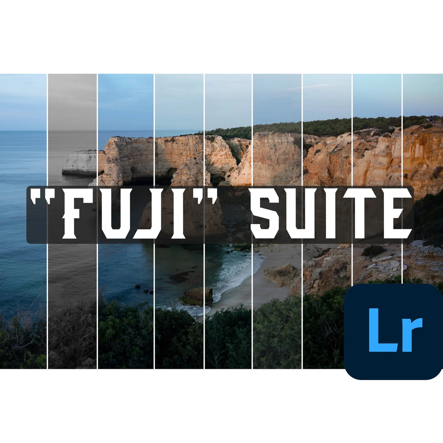 Fuji Presets