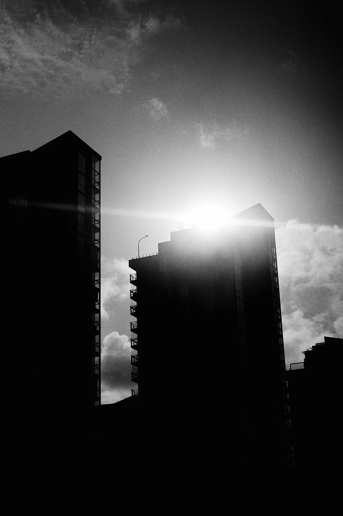L1004473.jpg