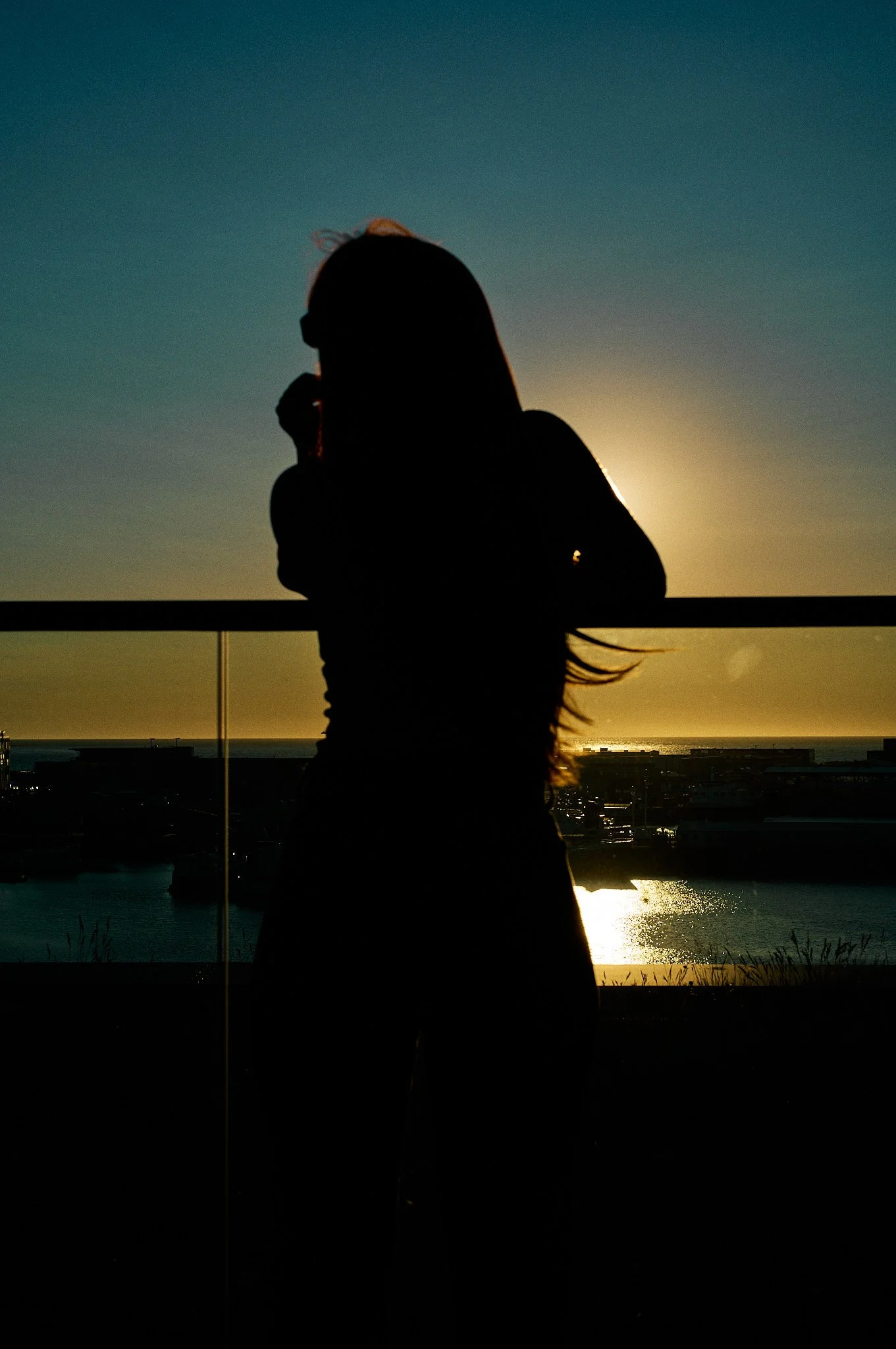 L1003164.jpg
