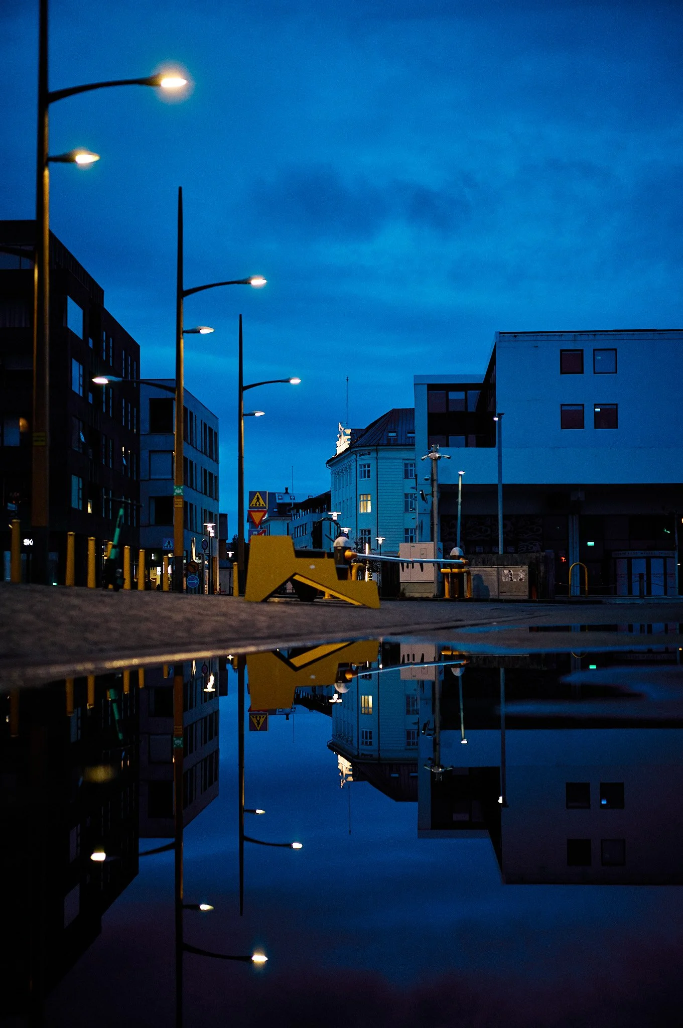 L1004613.jpg