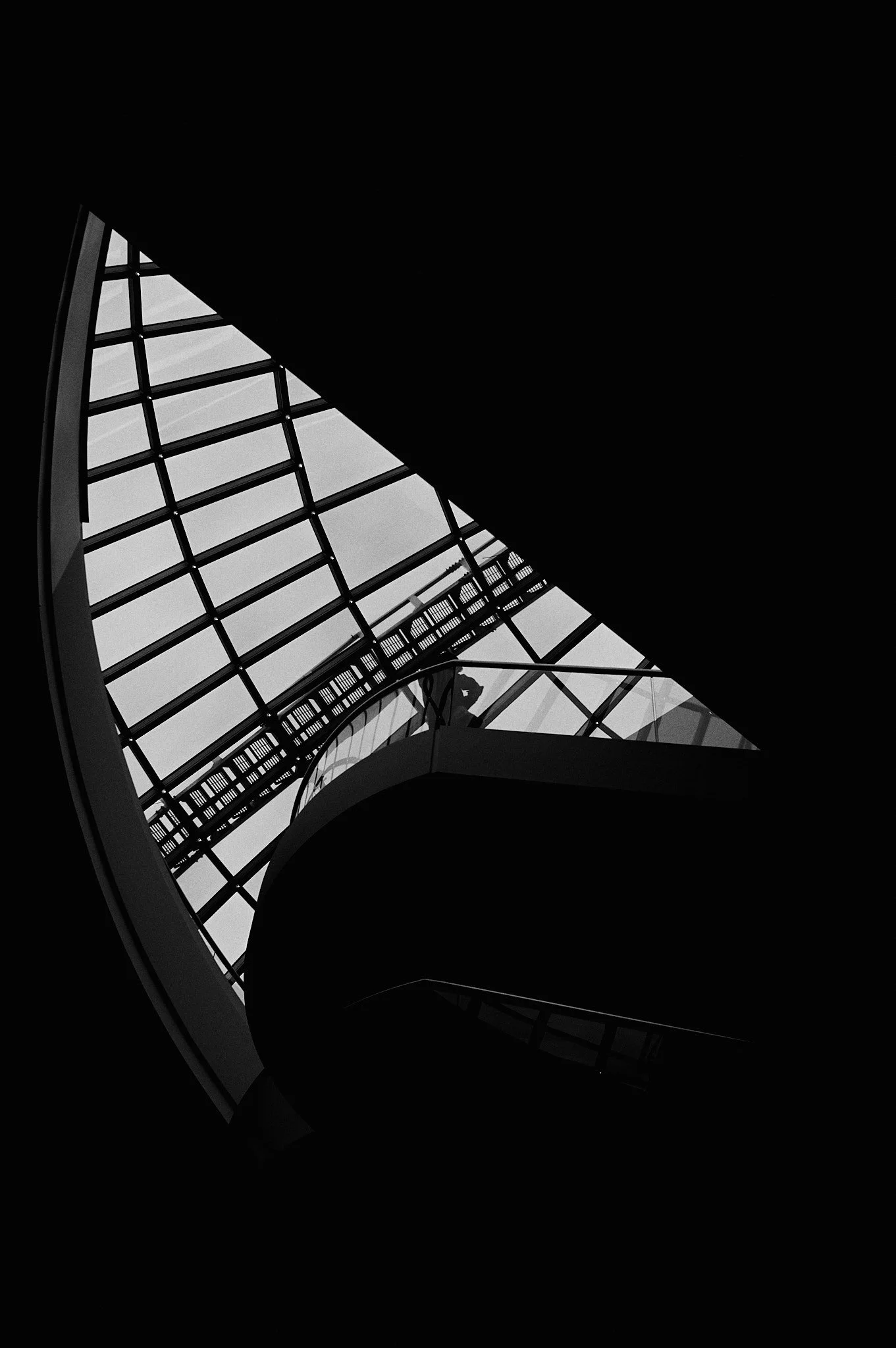 L1003493.jpg