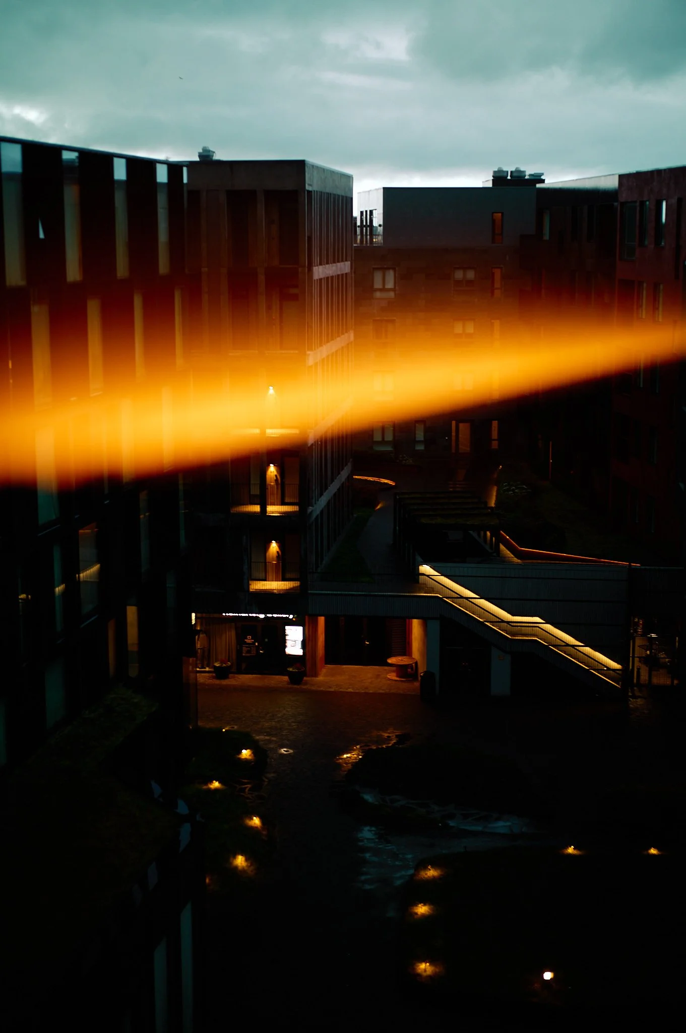 L1003405.jpg