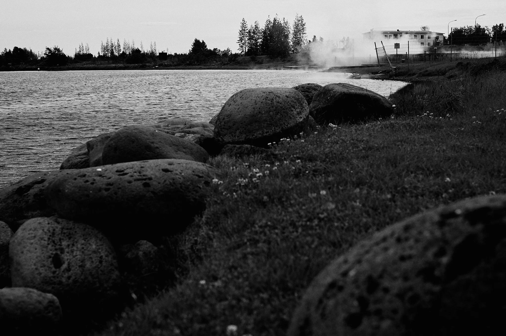 L1003274.jpg