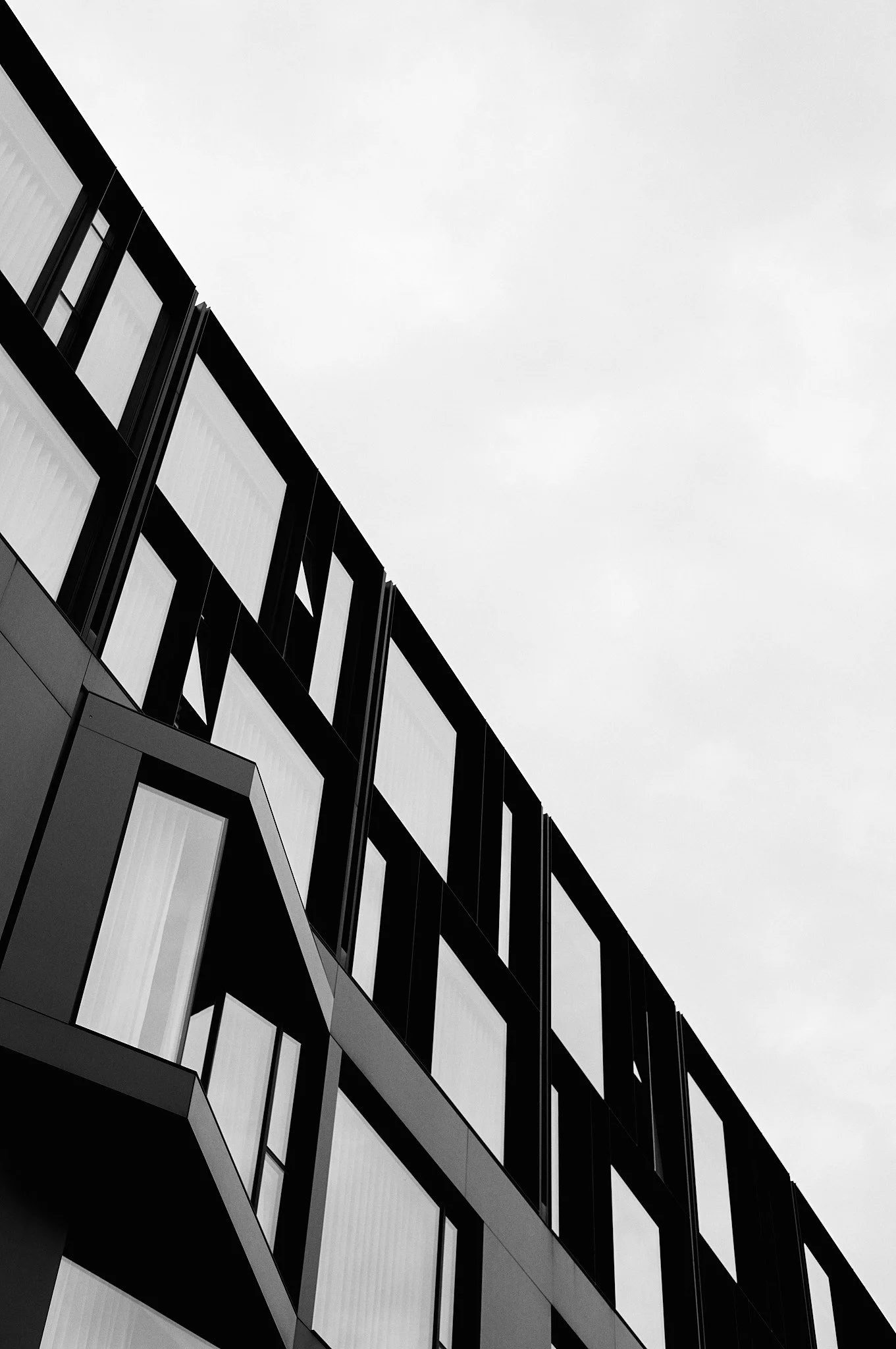 L1005074.jpg
