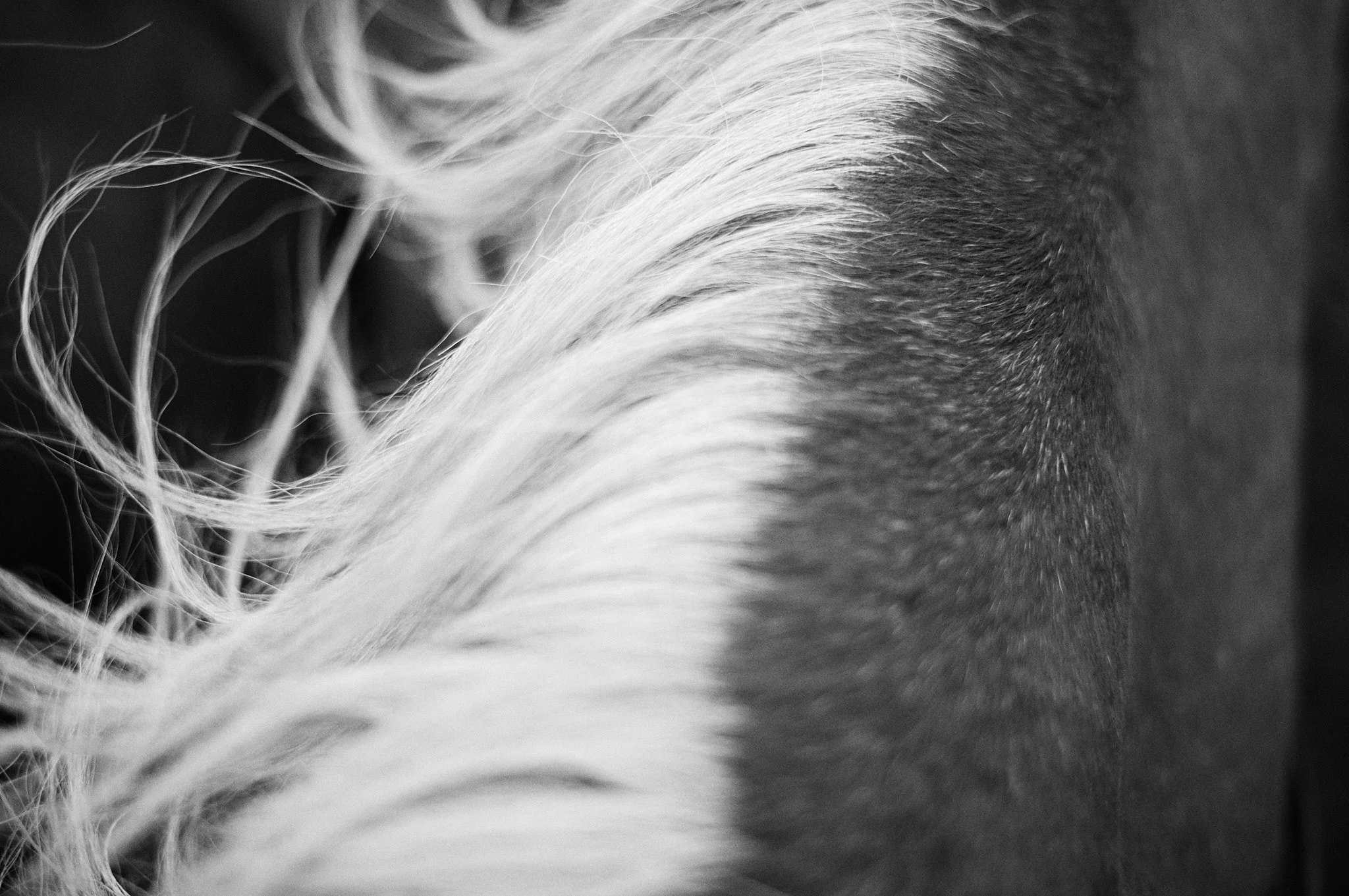 L1004805.jpg