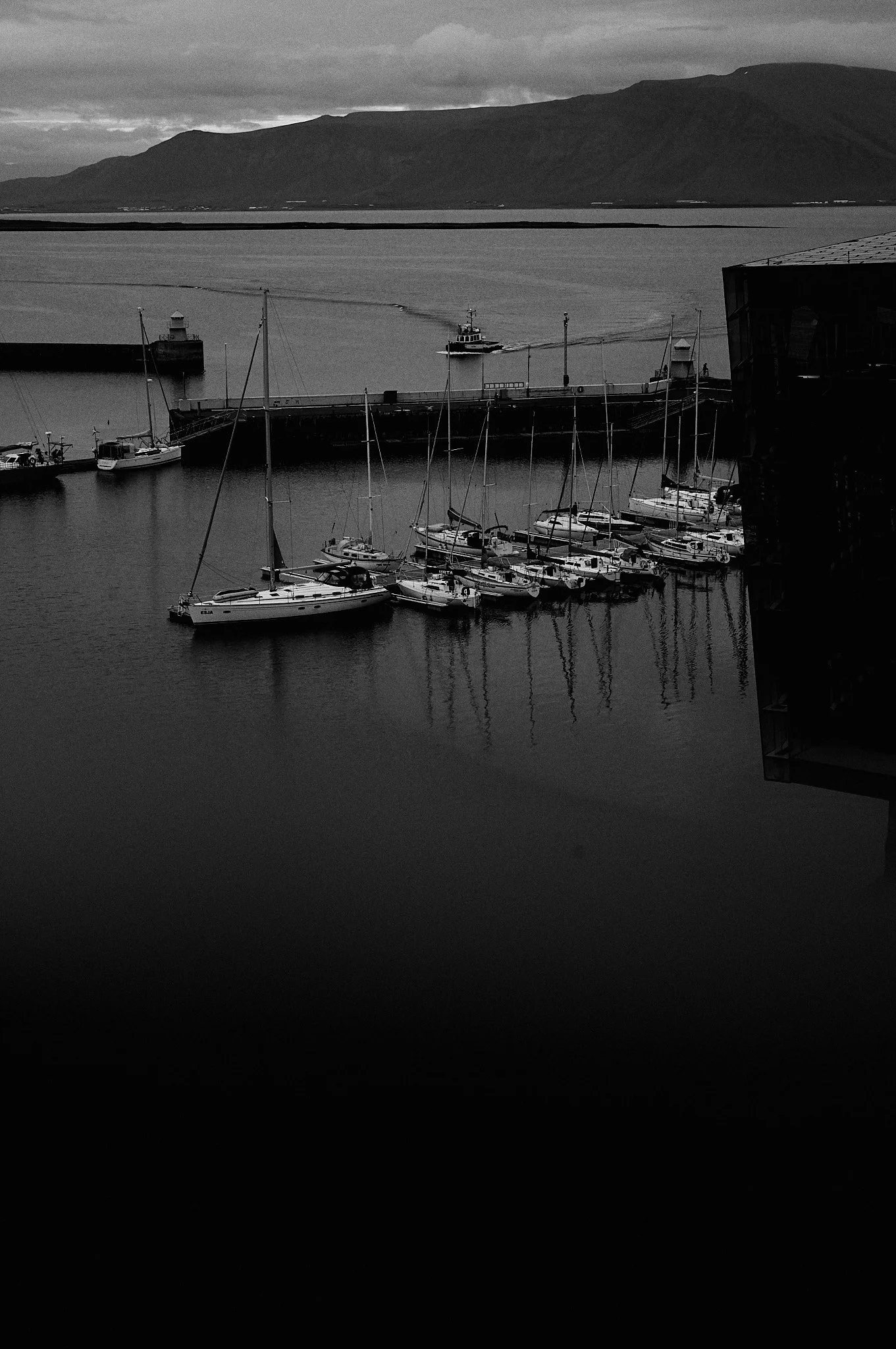 L1004571.jpg