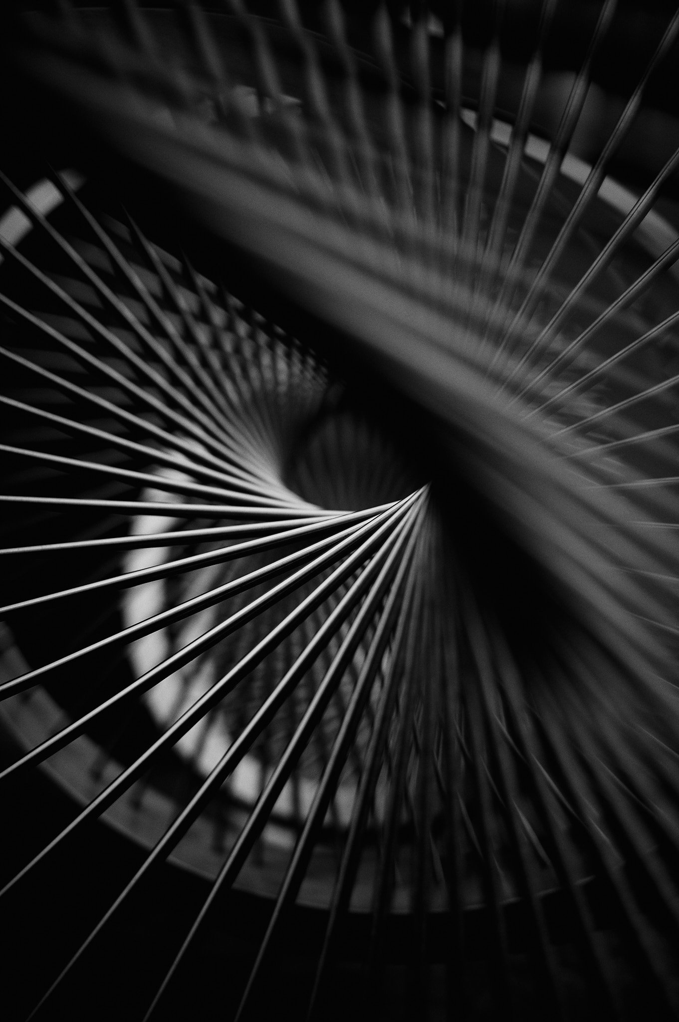 L1005119.jpg