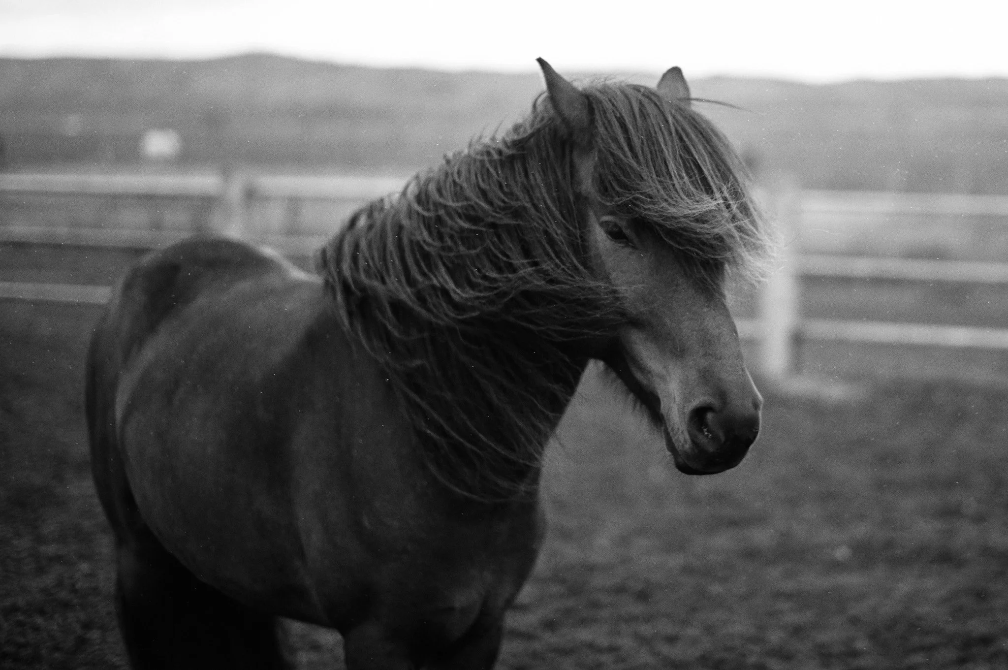 L1004773.jpg