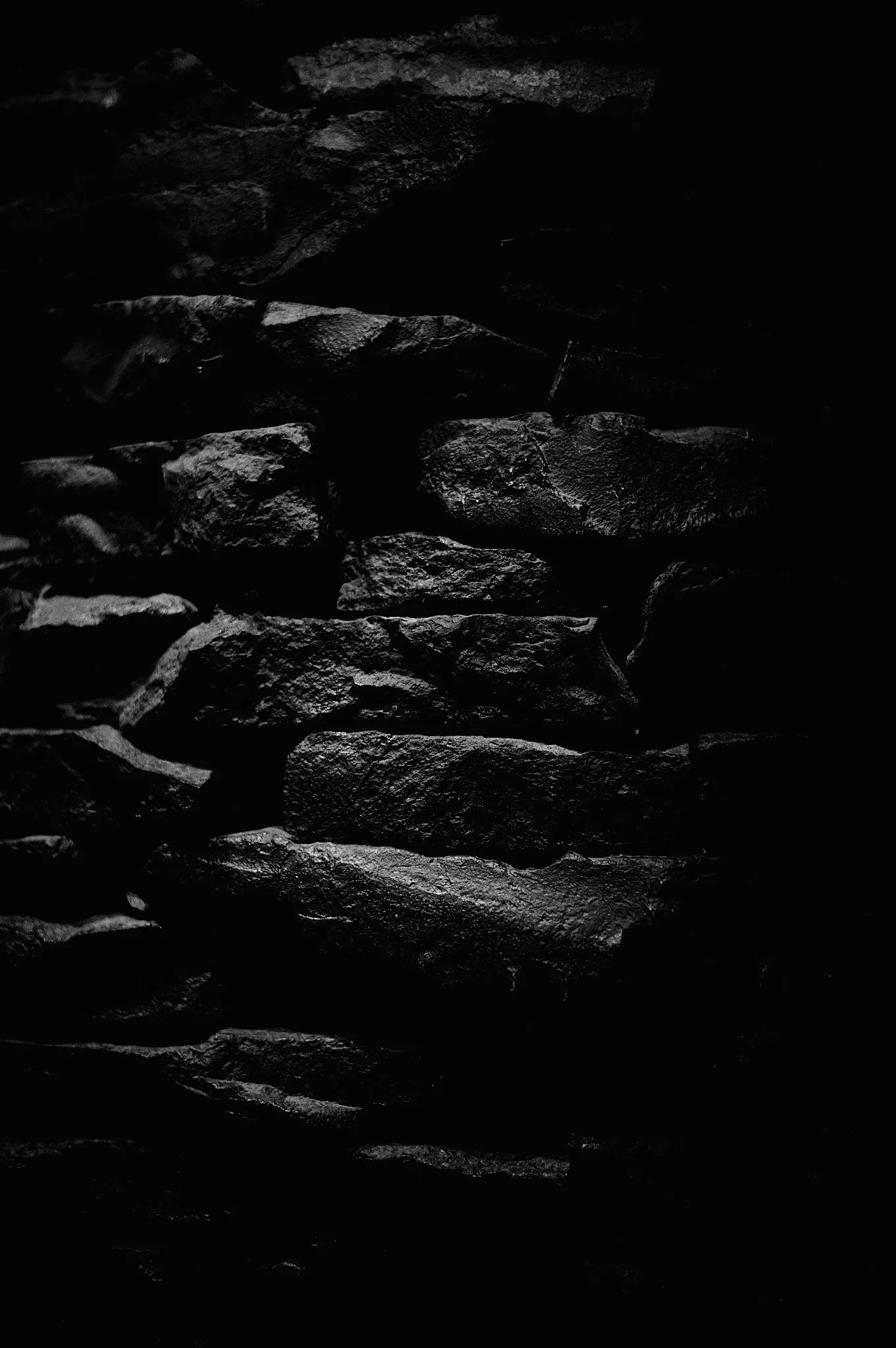 L1002952.jpg