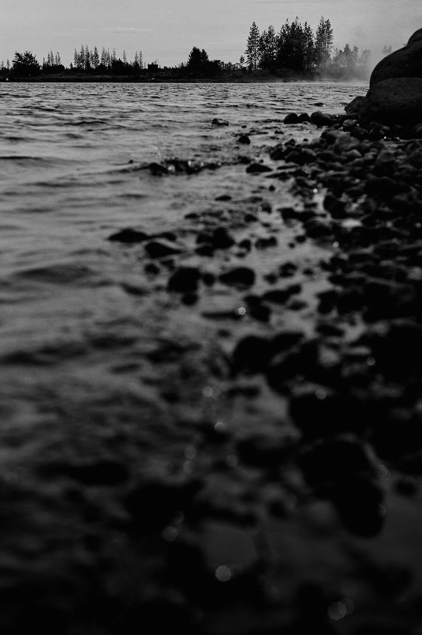 L1003283.jpg