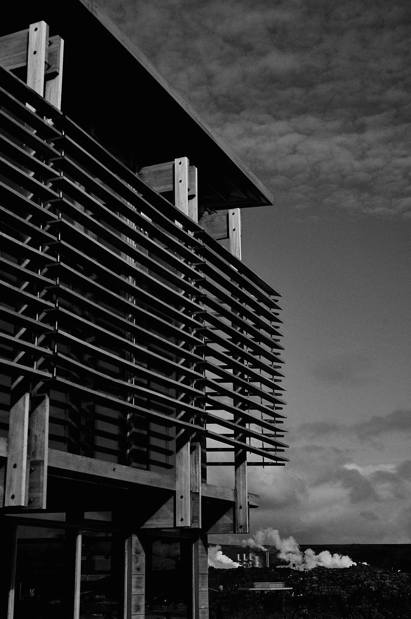L1004439.jpg