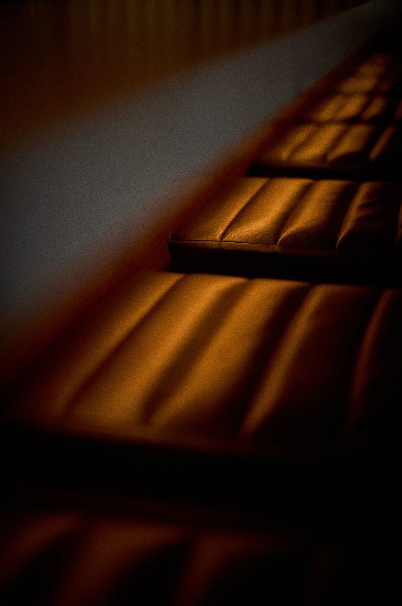L1004559.jpg